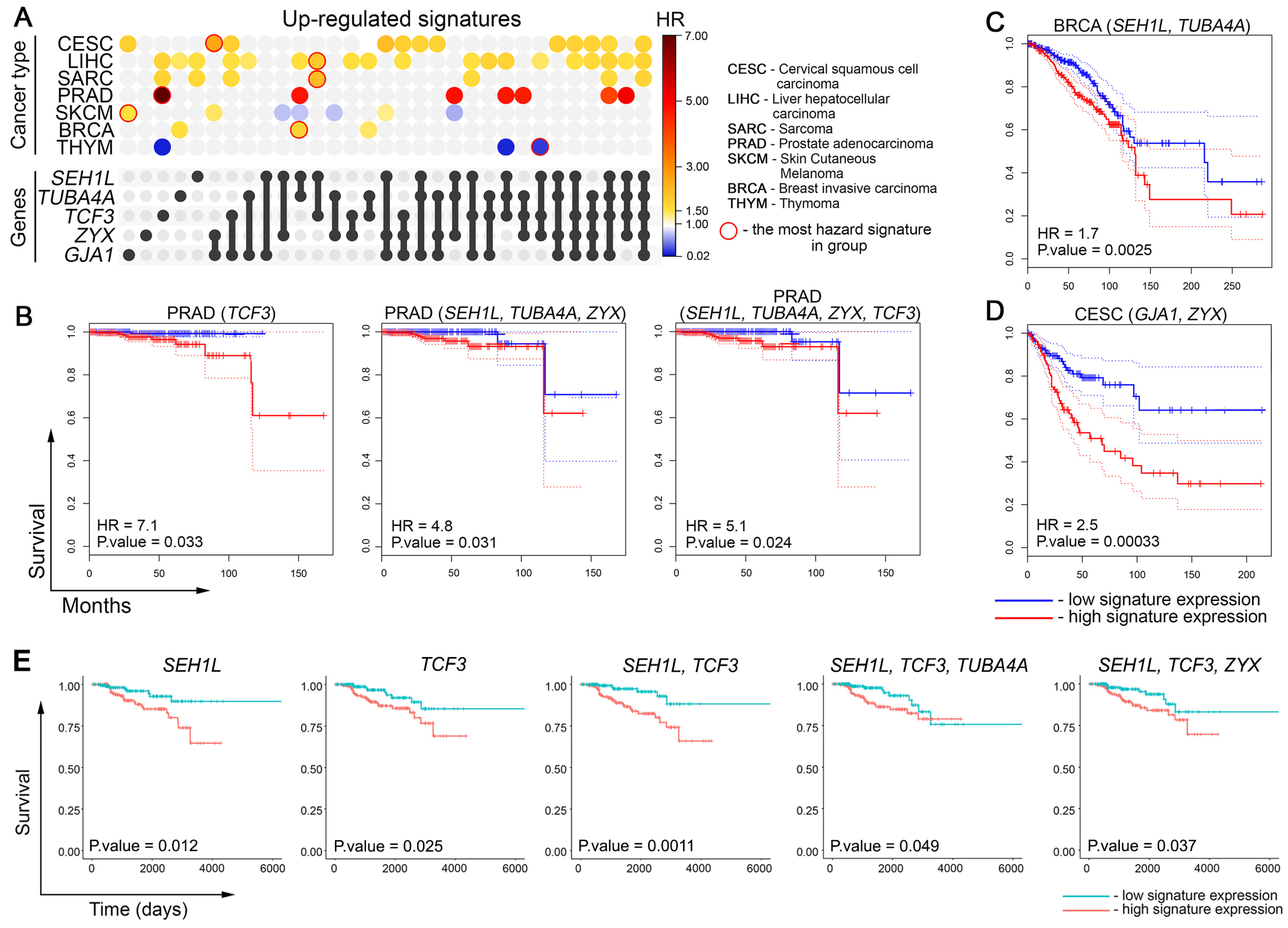 Biomedicines 13 02527 g007