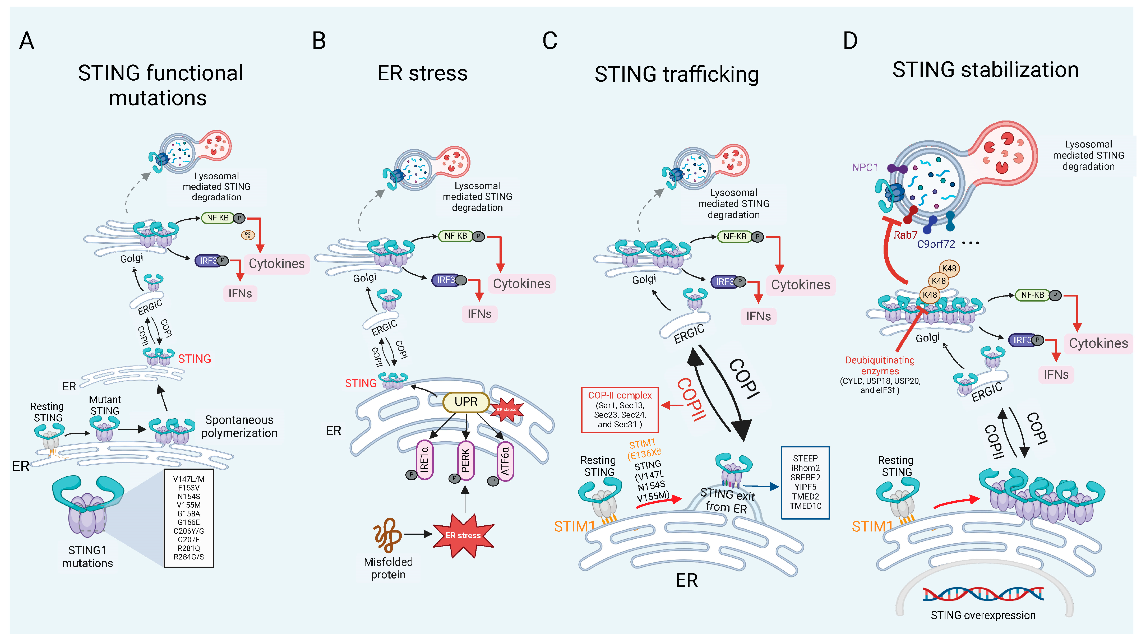 Biomedicines 13 02533 g002 Biomedicines 13 02533 g002