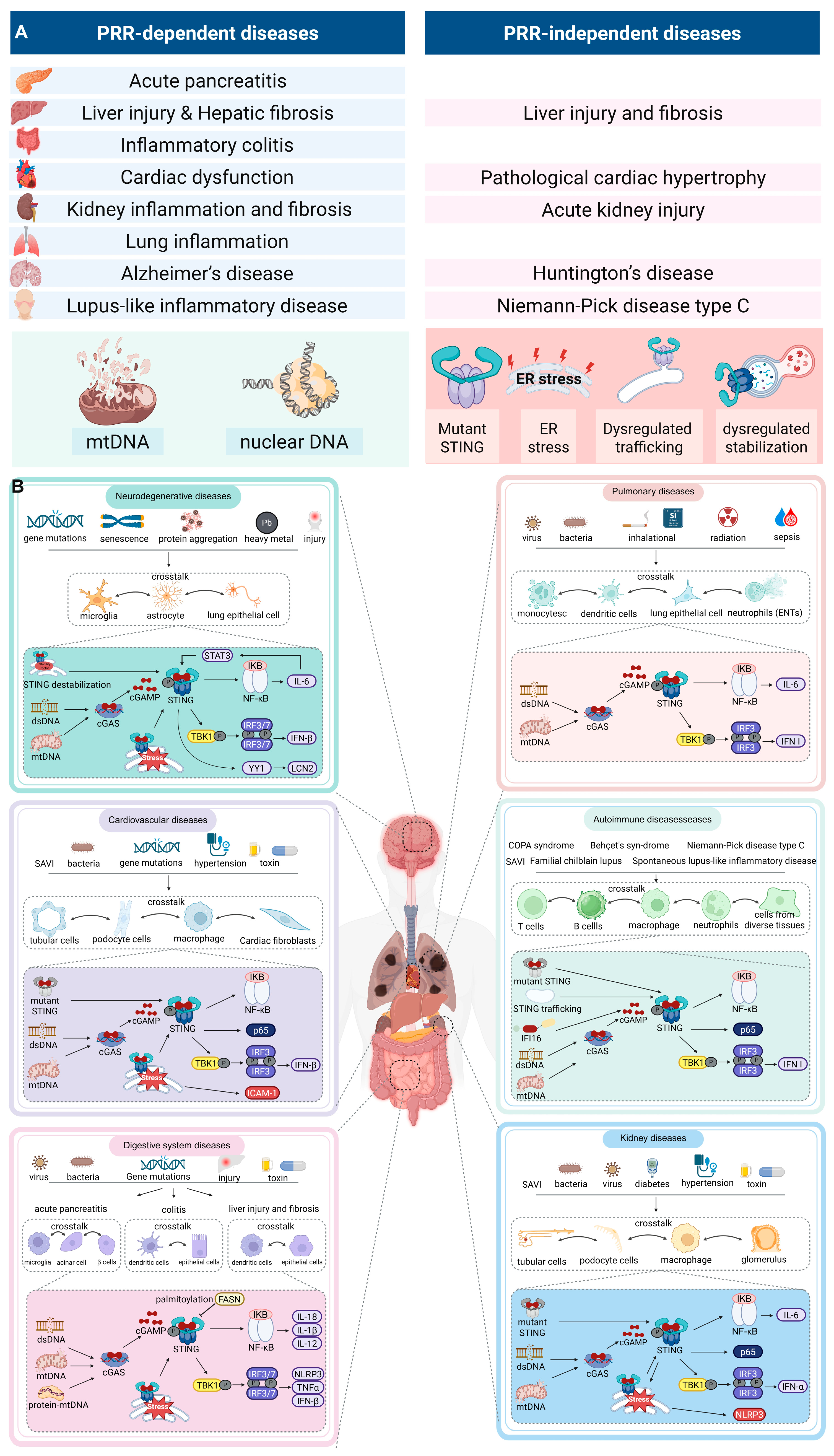 Biomedicines 13 02533 g003 Biomedicines 13 02533 g003