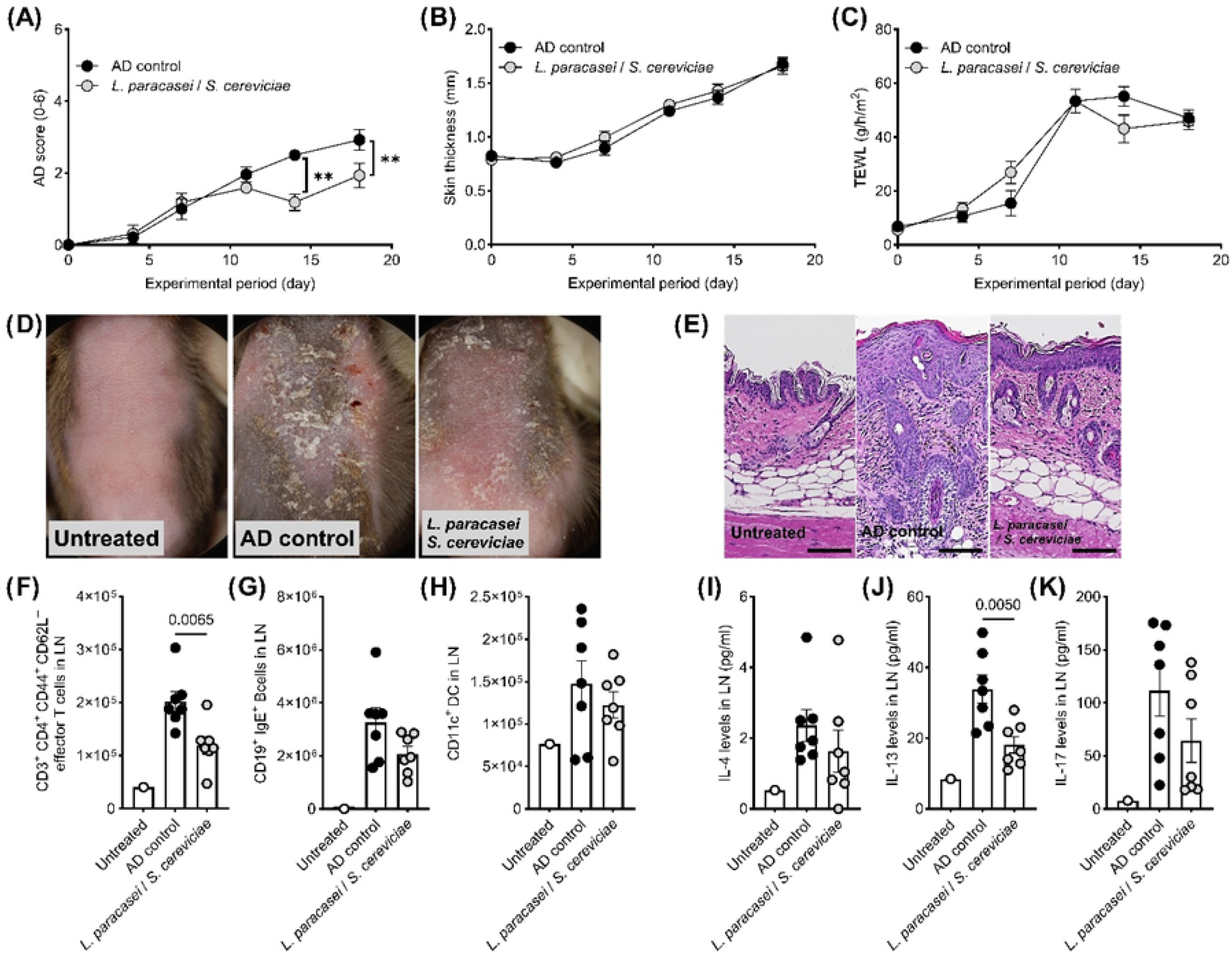 Biomedicines 13 02536 g003