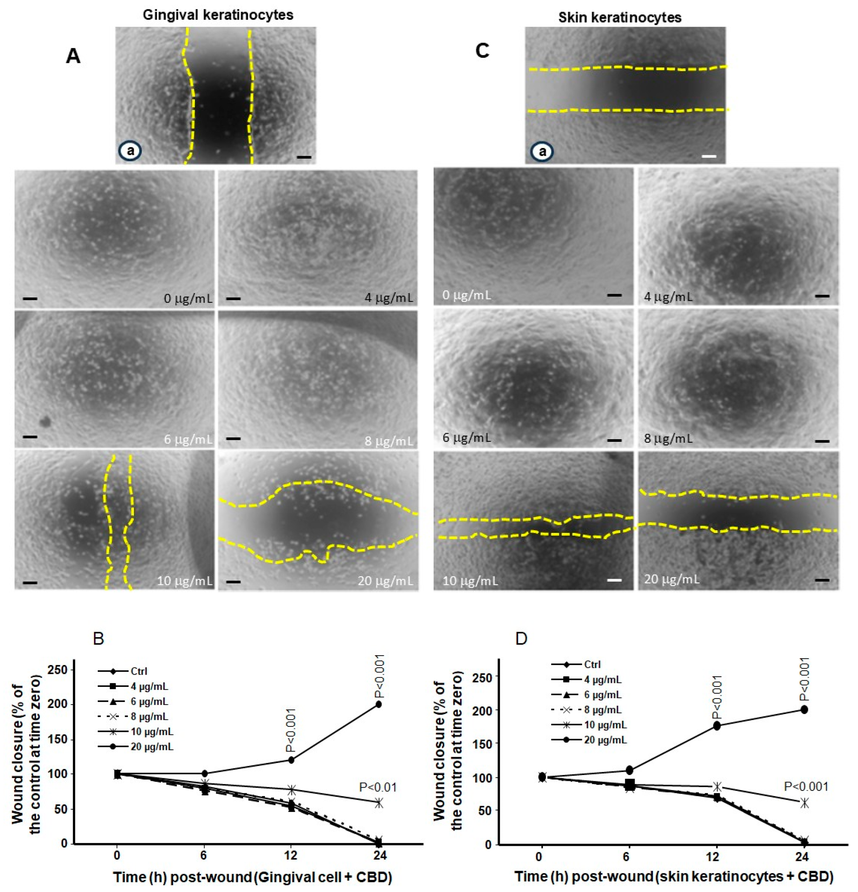 Biomedicines 13 02541 g004