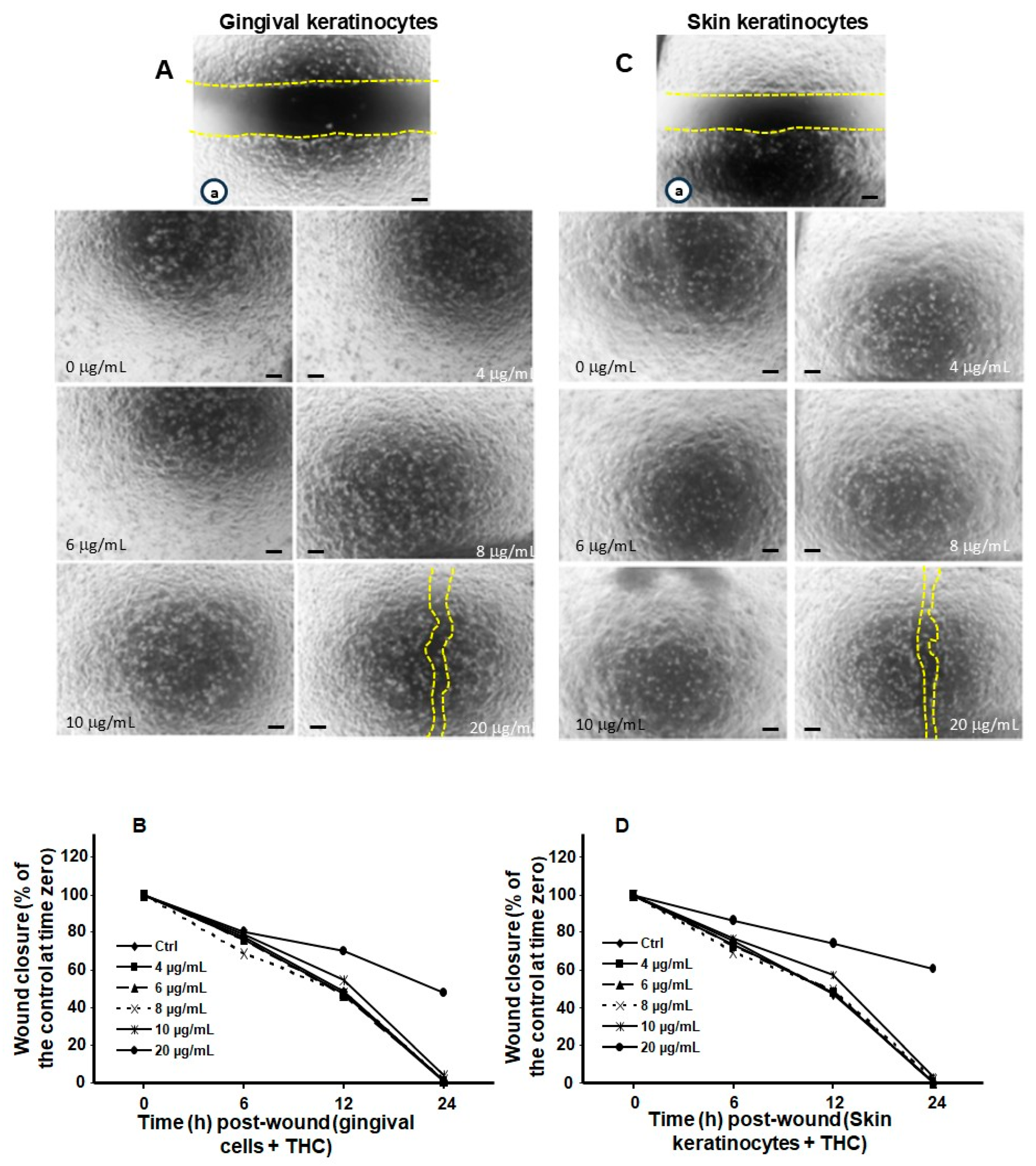Biomedicines 13 02541 g005