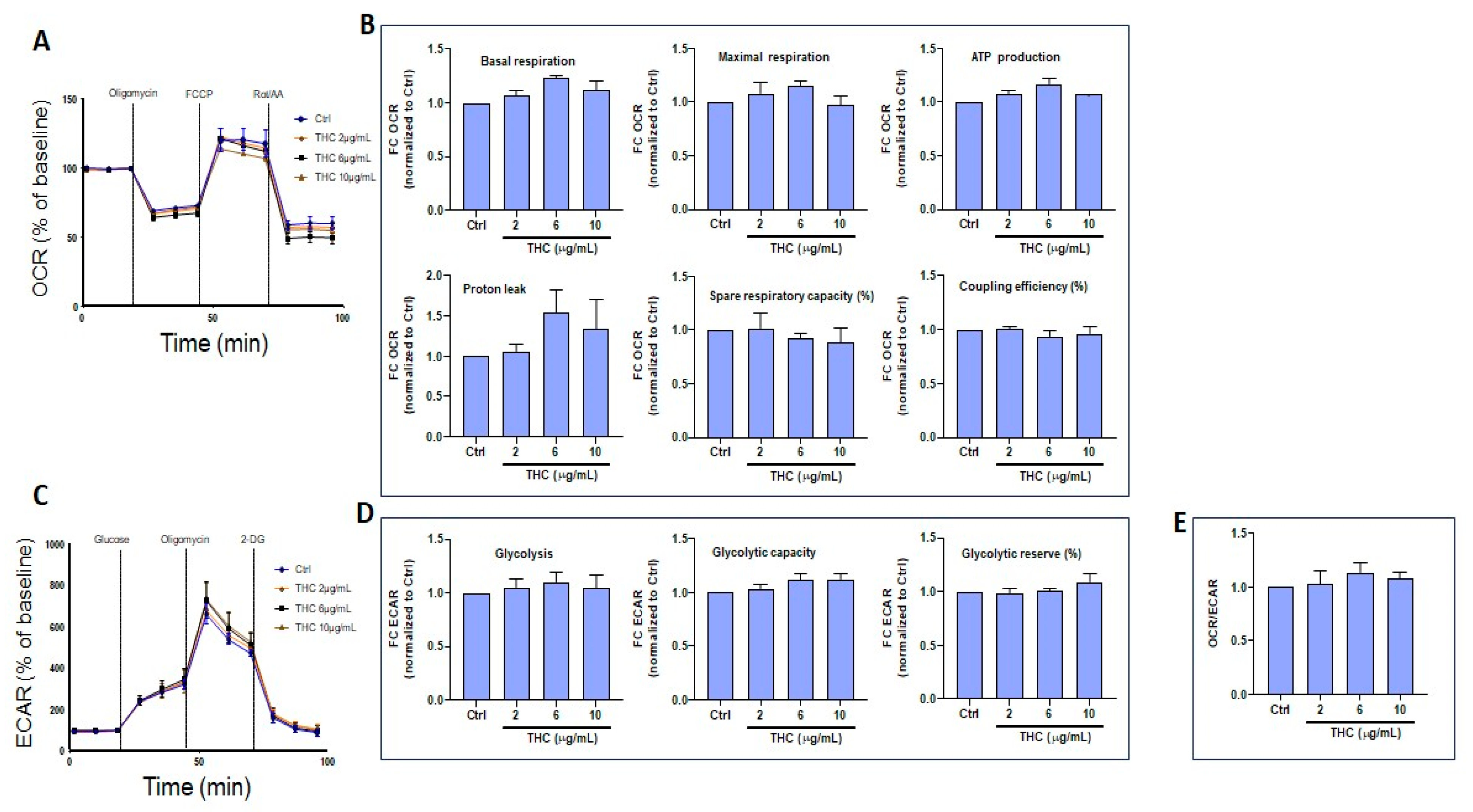 Biomedicines 13 02541 g008