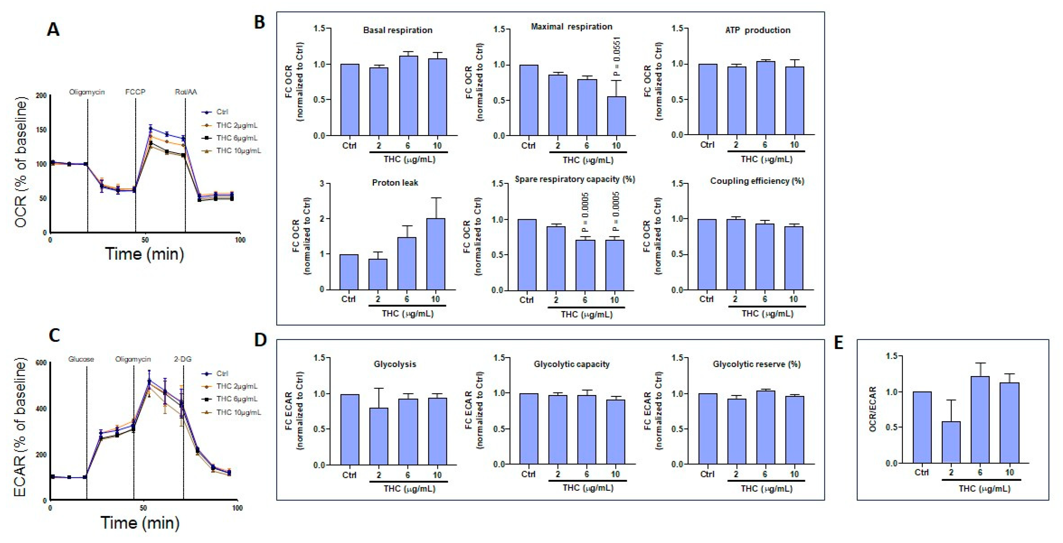 Biomedicines 13 02541 g010