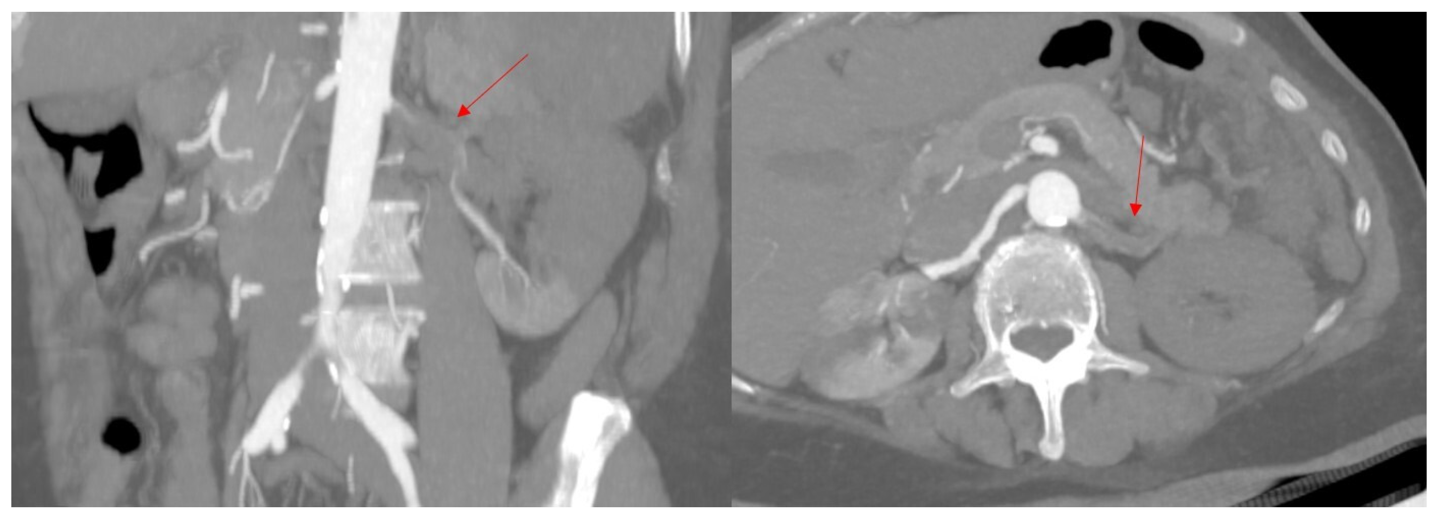 Biomedicines 13 02543 g003