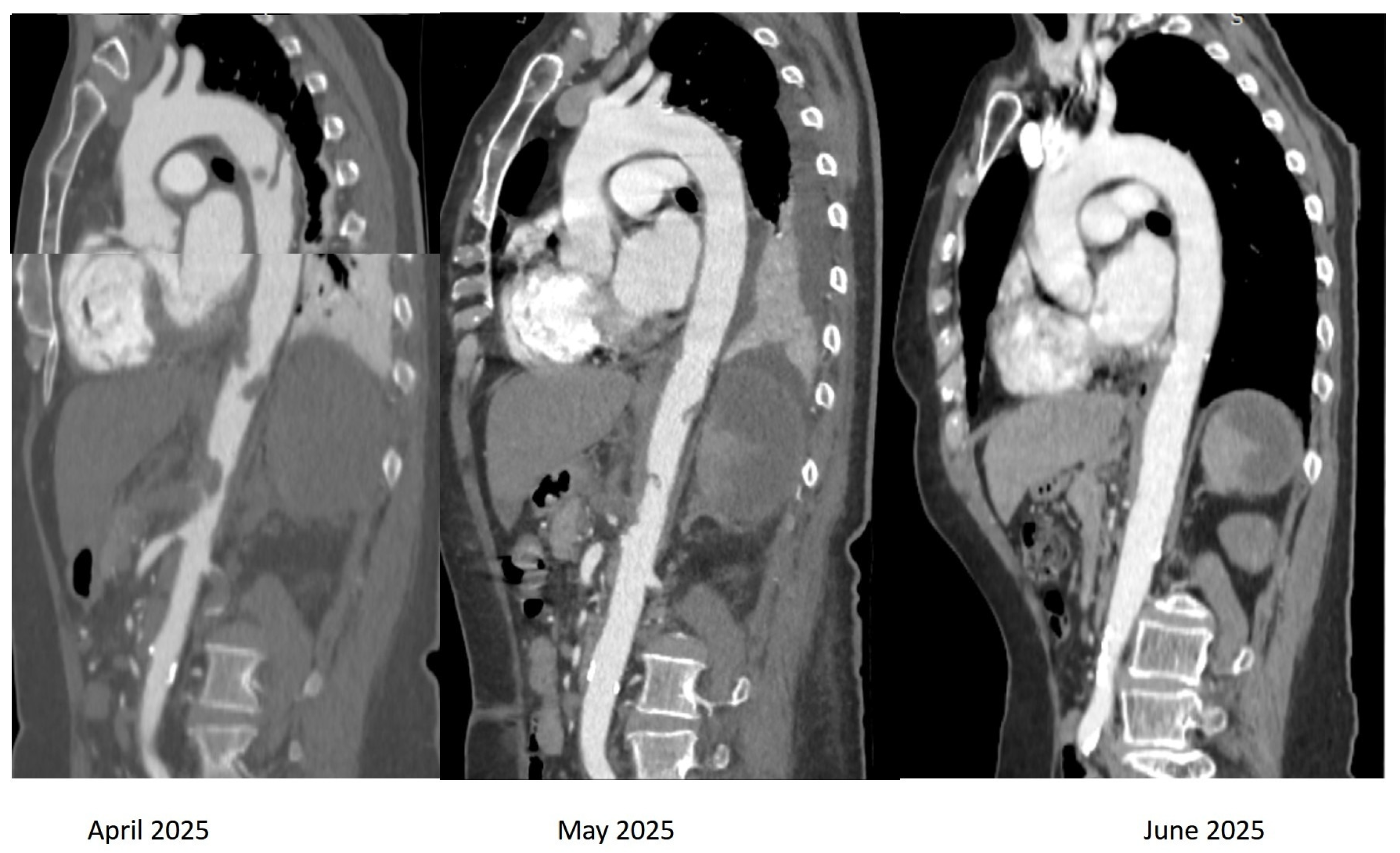 Biomedicines 13 02543 g006