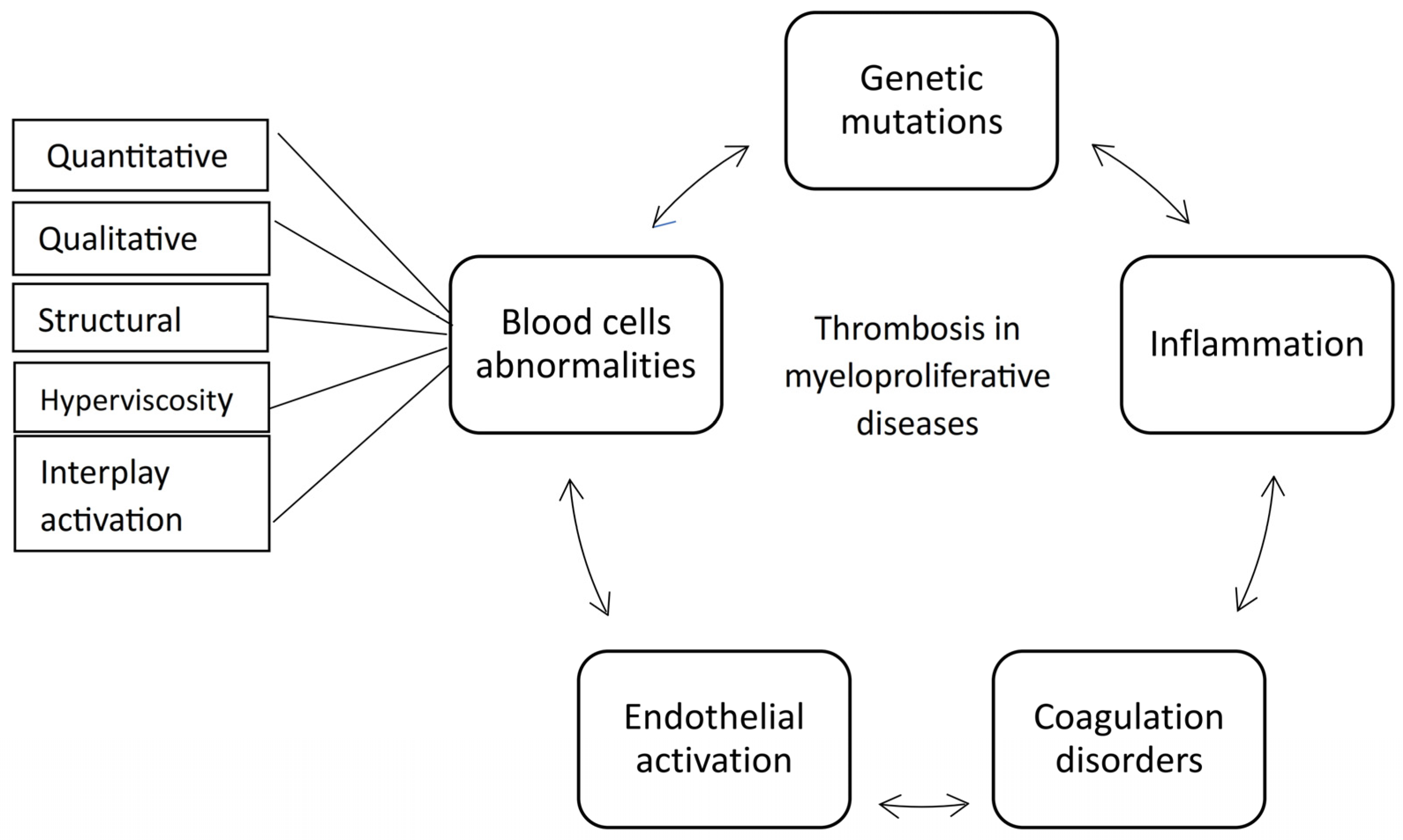 Biomedicines 13 02543 g007