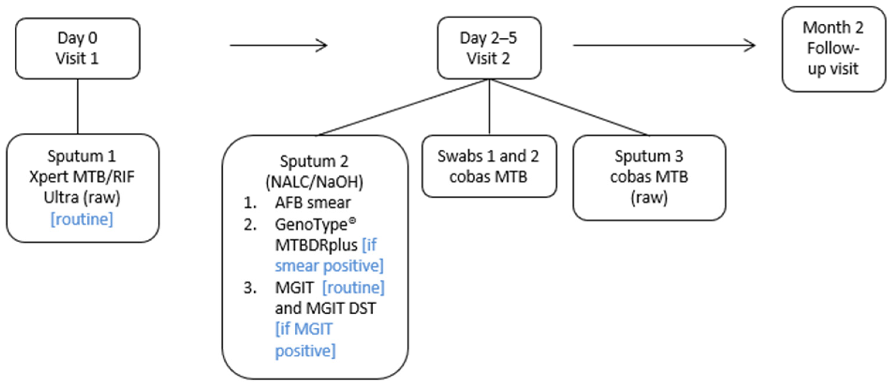 Biomedicines 13 02556 g001