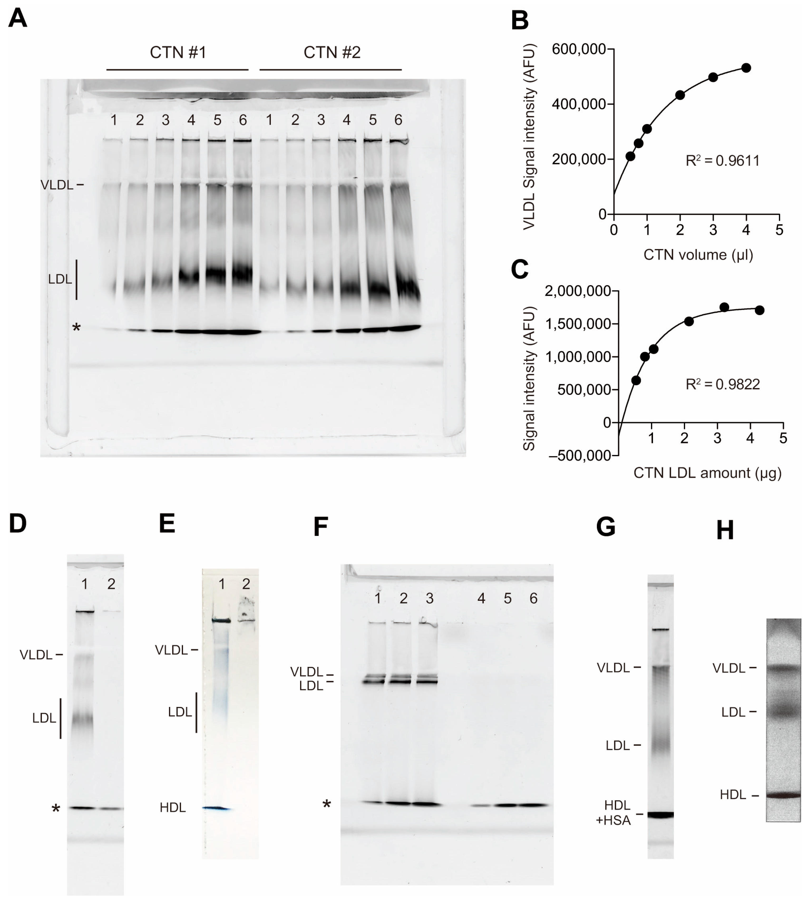 Biomedicines 13 02560 g002 Biomedicines 13 02560 g002