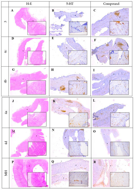 Biomedicines 13 02564 g005