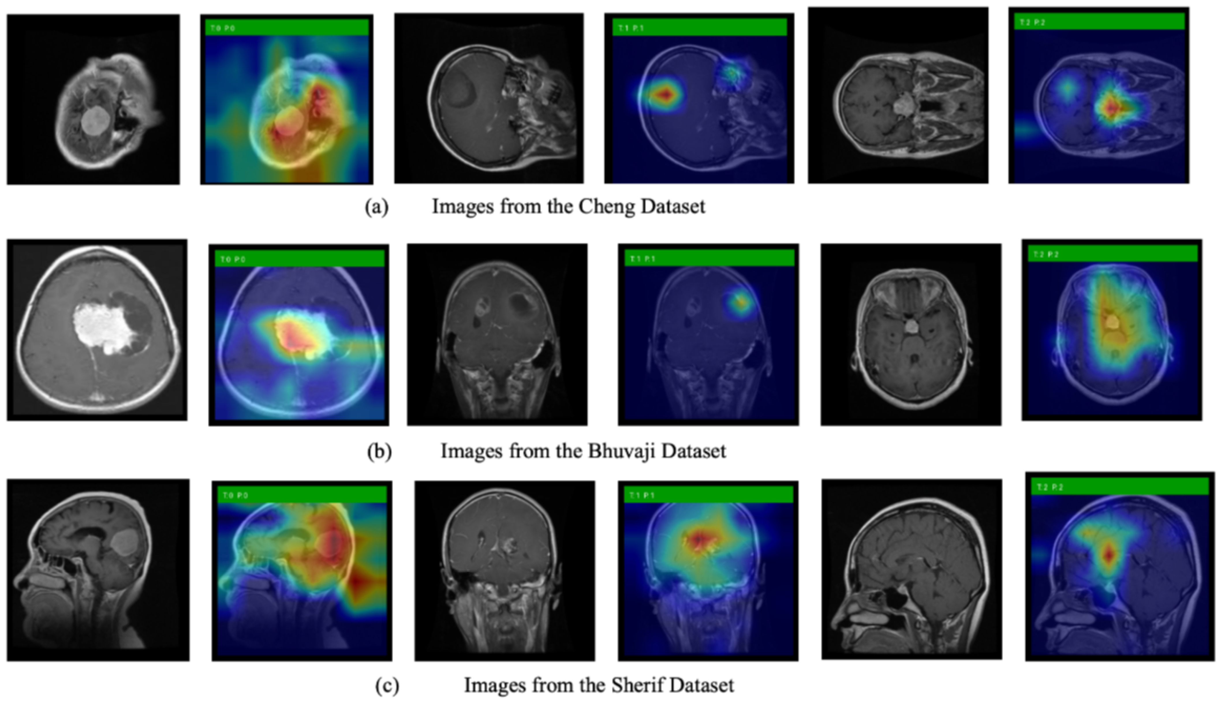 Biomedicines 13 02571 g006