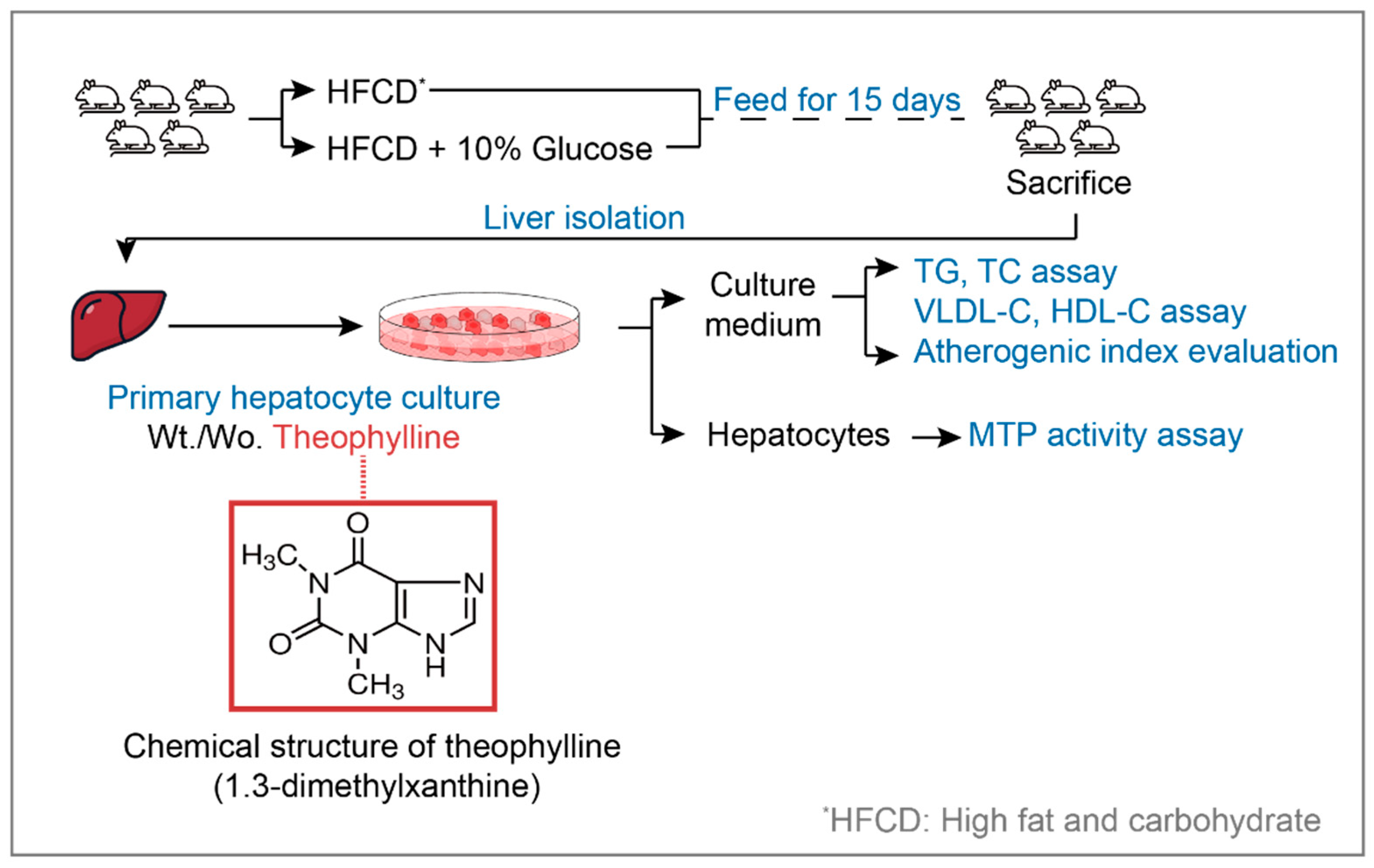 Biomedicines 13 02579 g001
