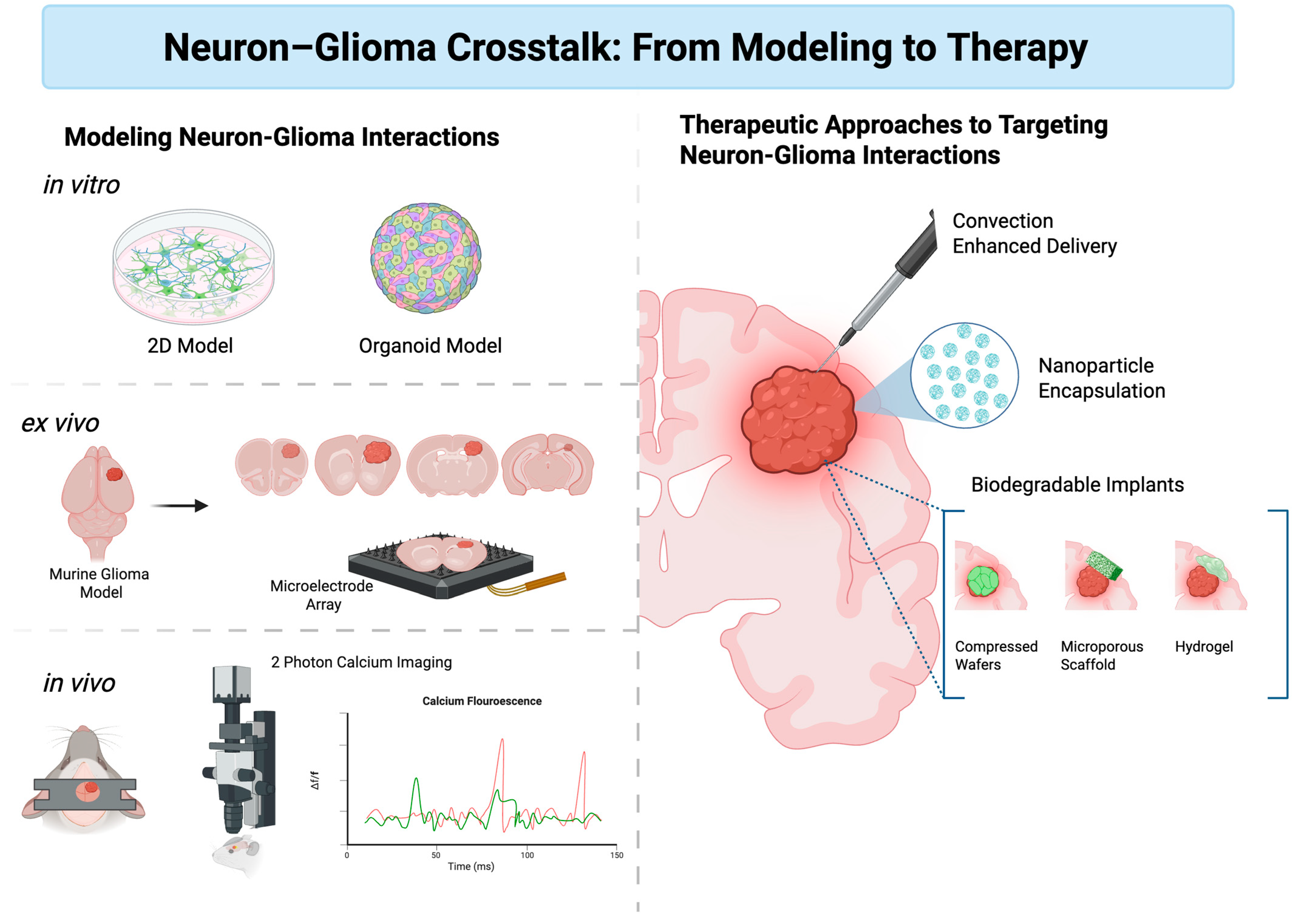 Biomedicines 13 02593 g003