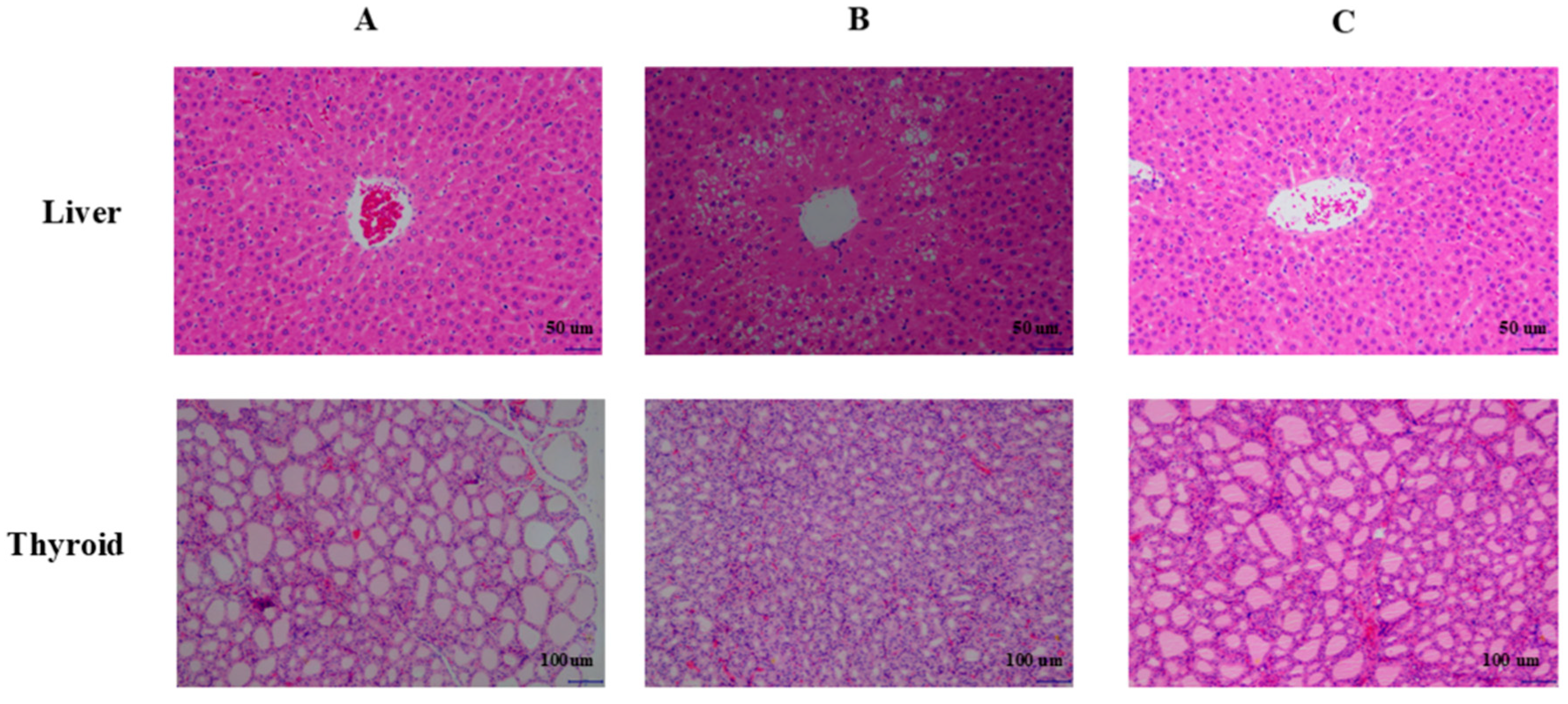 Biomedicines 13 02600 g003 Biomedicines 13 02600 g003