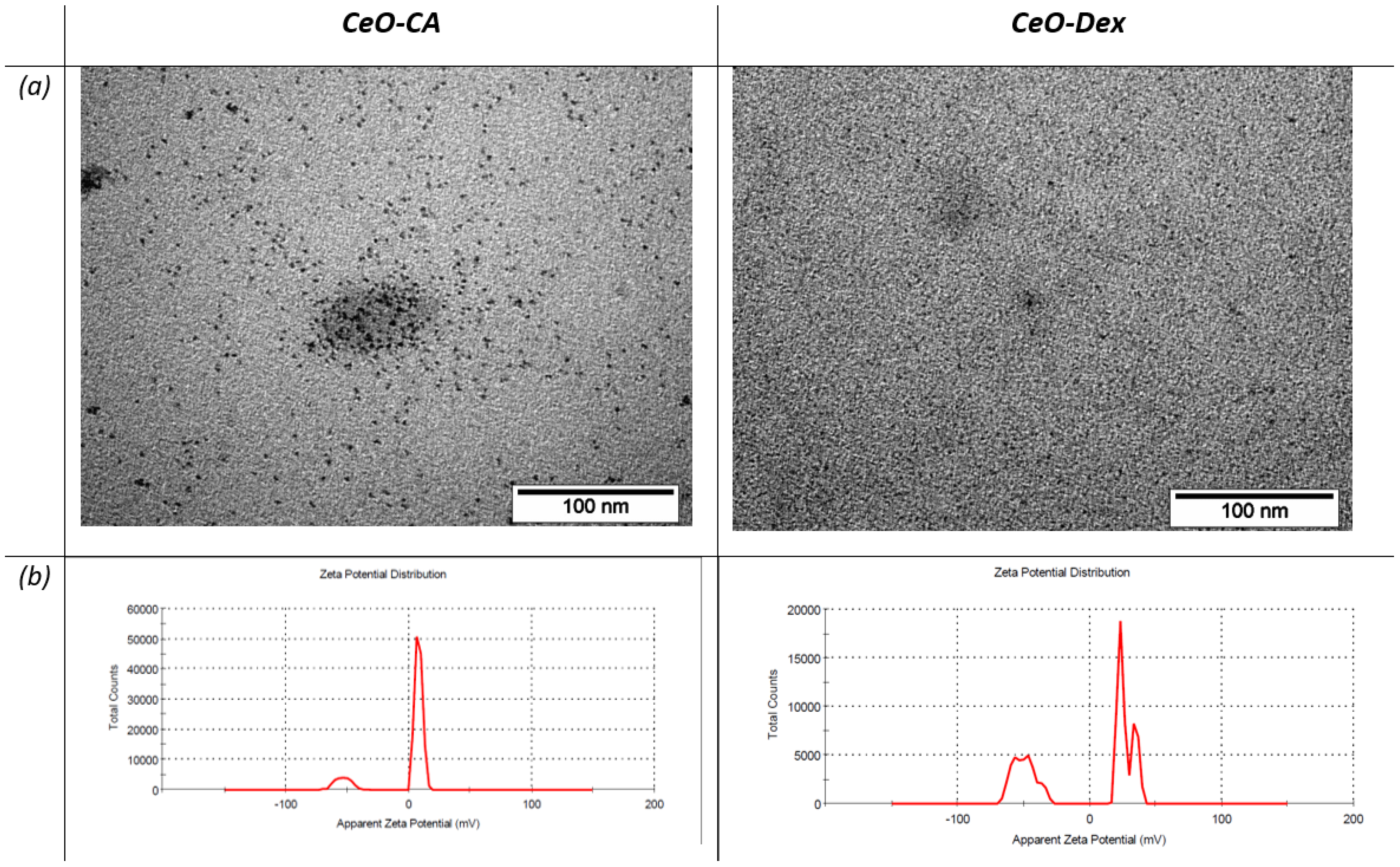 Biomedicines 13 02623 g001 Biomedicines 13 02623 g001
