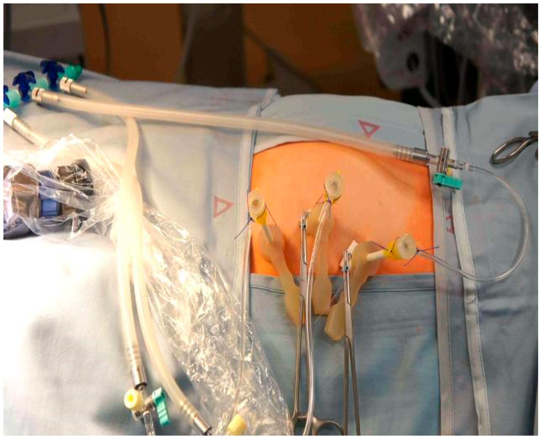 Biomedicines 13 02625 g001 Biomedicines 13 02625 g001