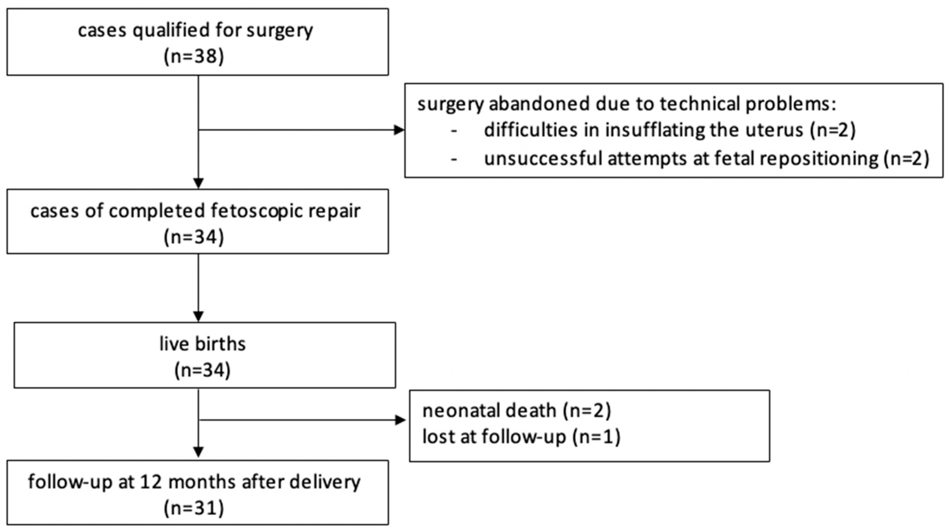 Biomedicines 13 02625 g002 Biomedicines 13 02625 g002