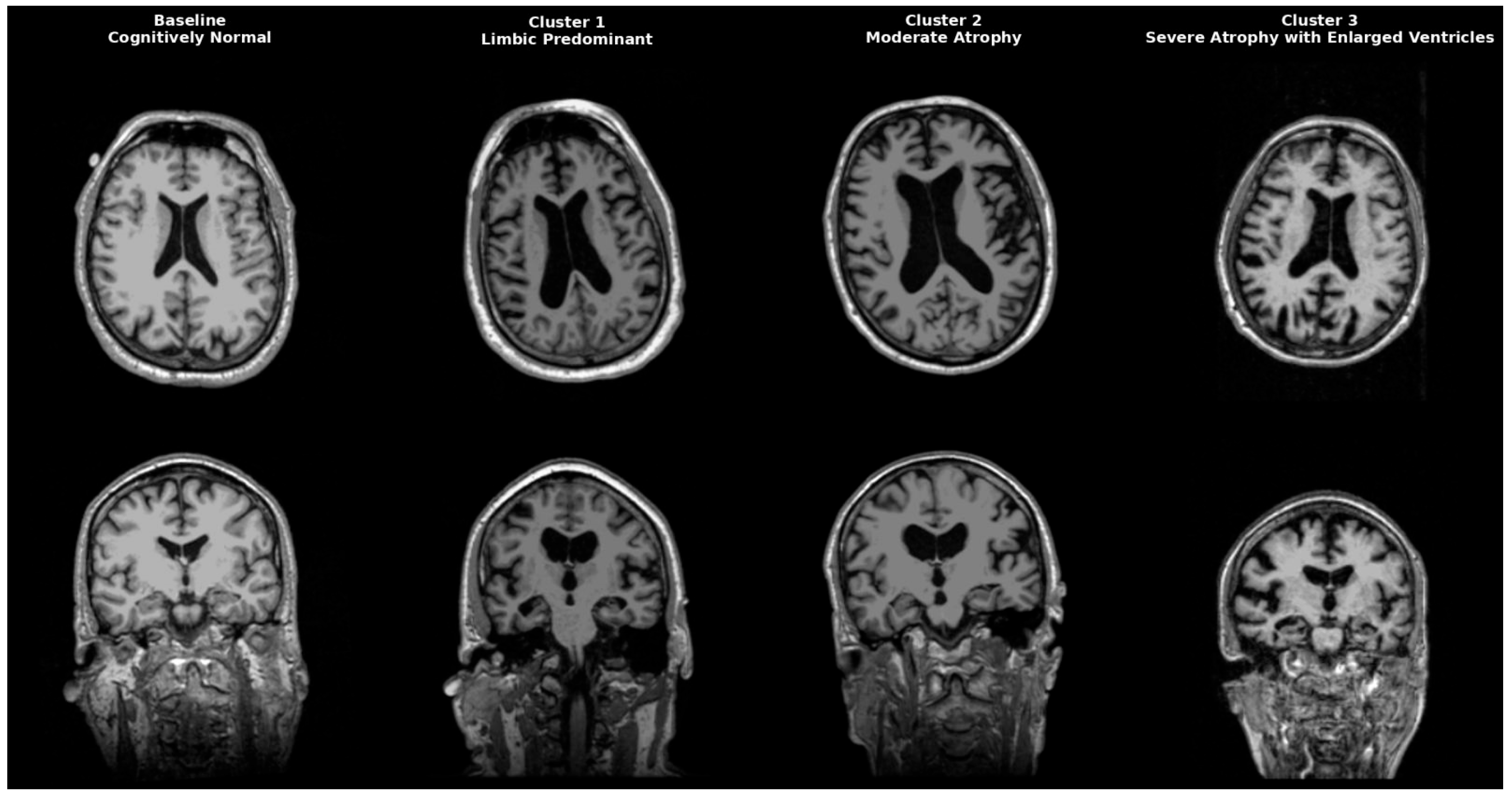 Biomedicines 13 02632 g004 Biomedicines 13 02632 g004