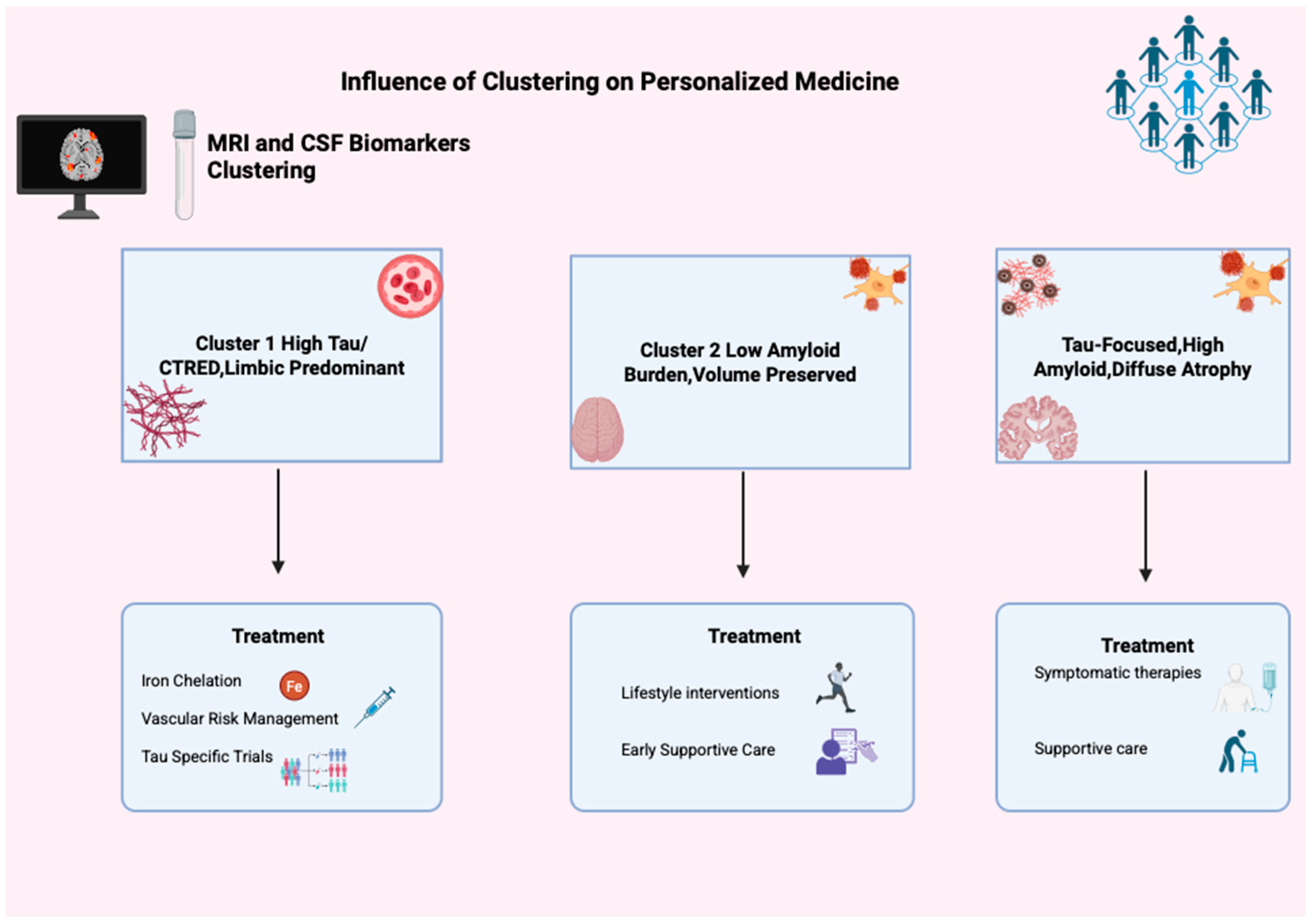 Biomedicines 13 02632 g005 Biomedicines 13 02632 g005