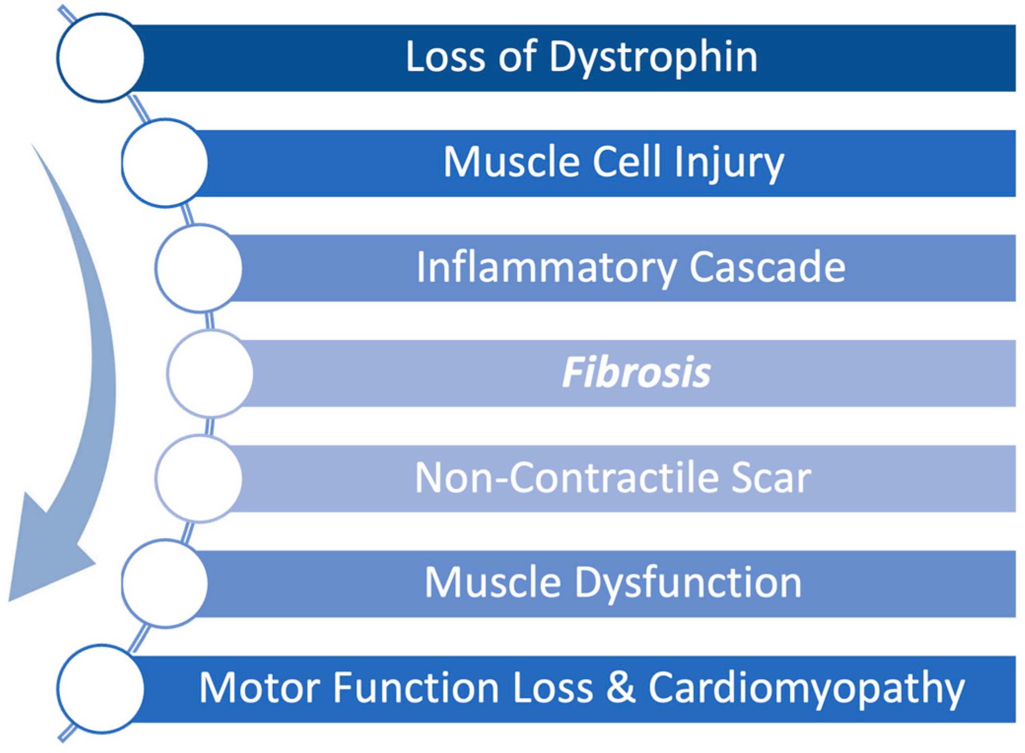 Biomedicines 13 02652 g001 Biomedicines 13 02652 g001