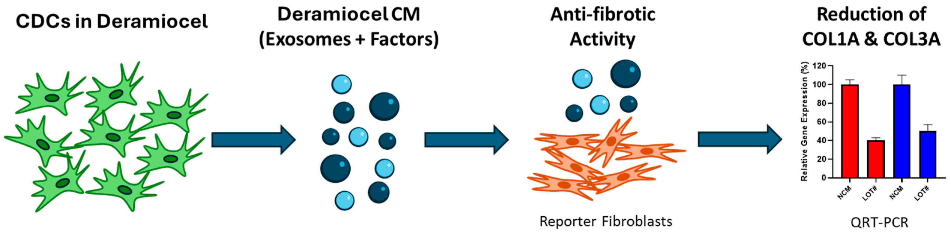 Biomedicines 13 02652 g002 Biomedicines 13 02652 g002