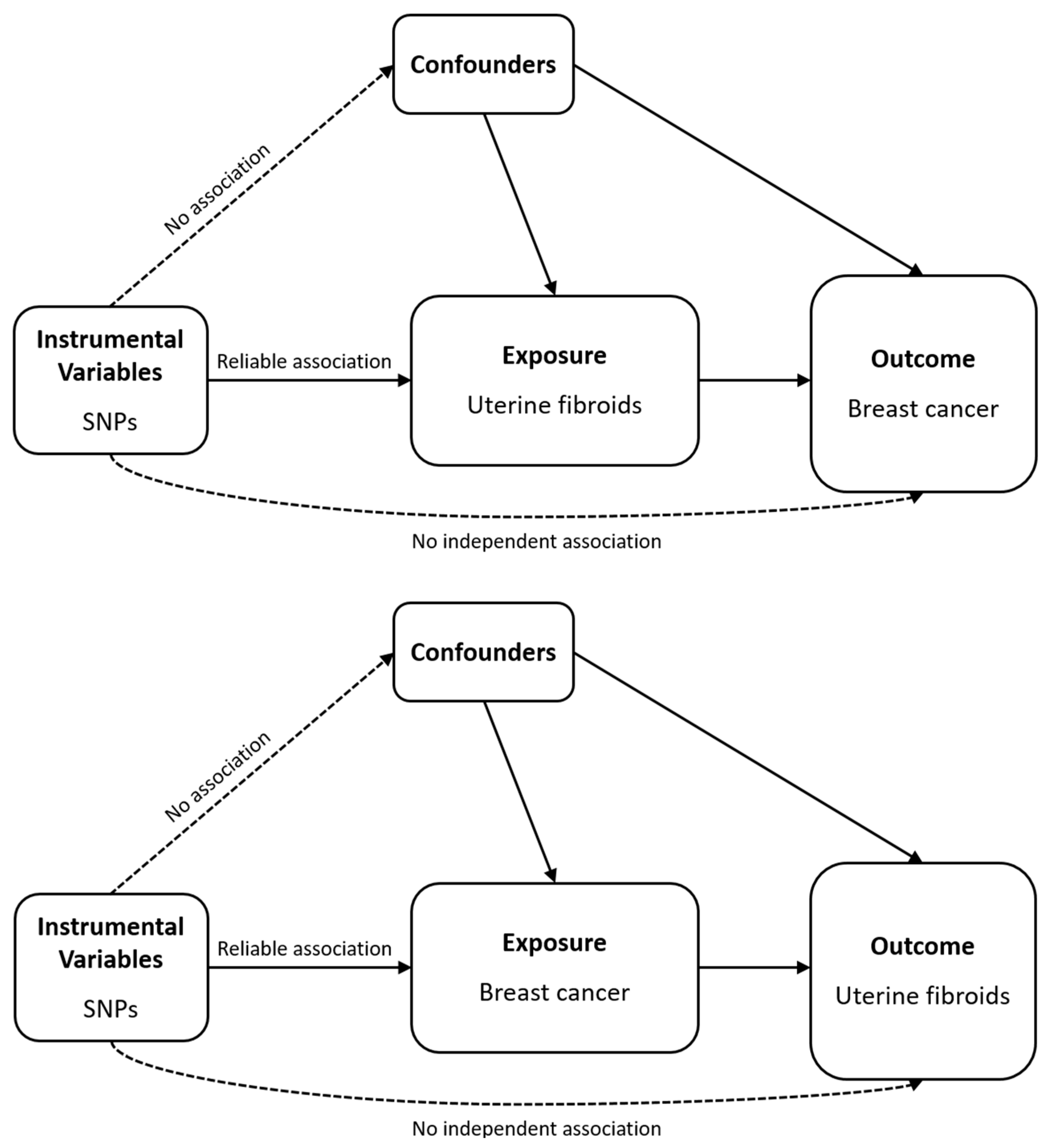 Biomedicines 13 02654 g001
