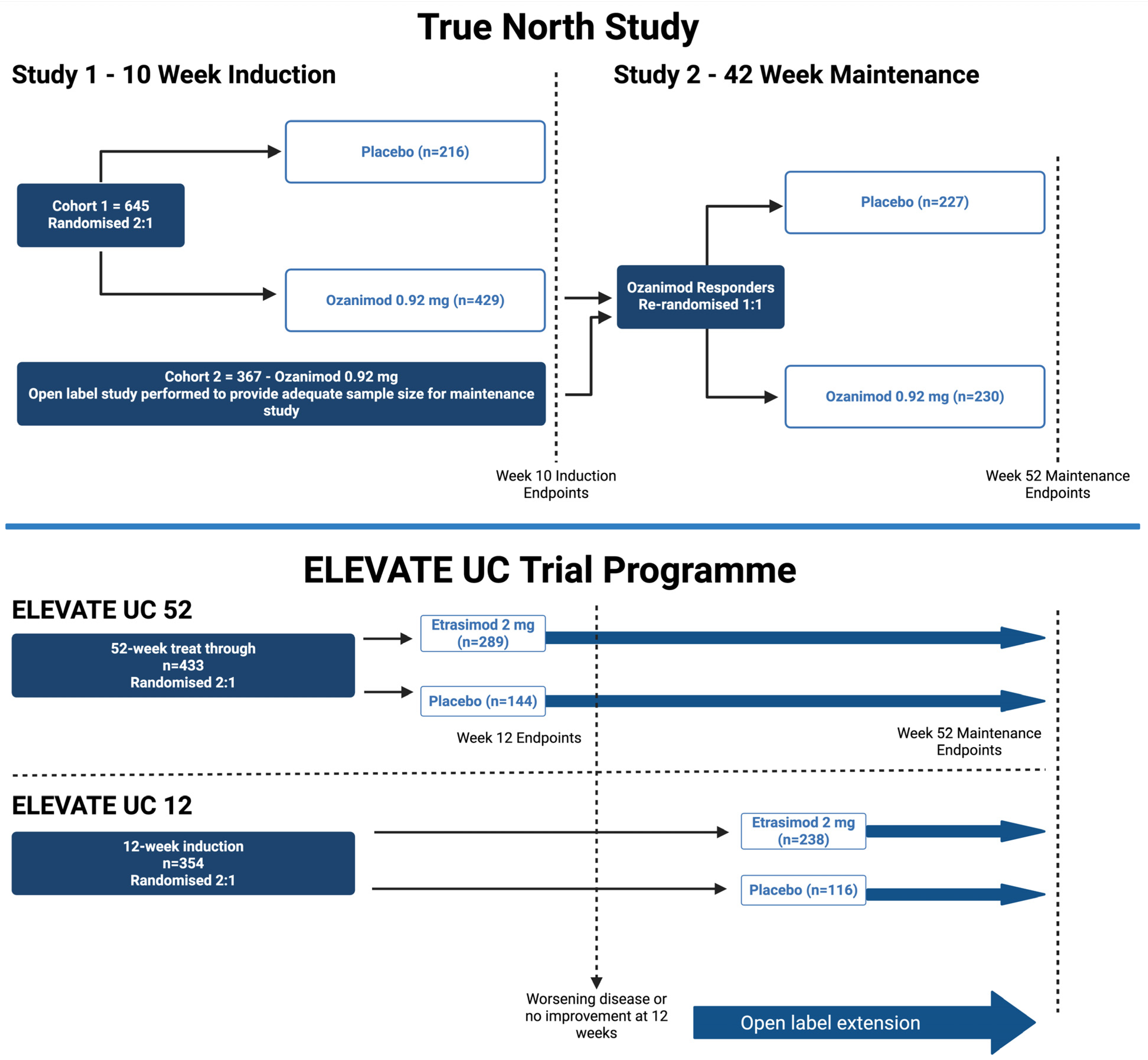 Biomedicines 13 02655 g002