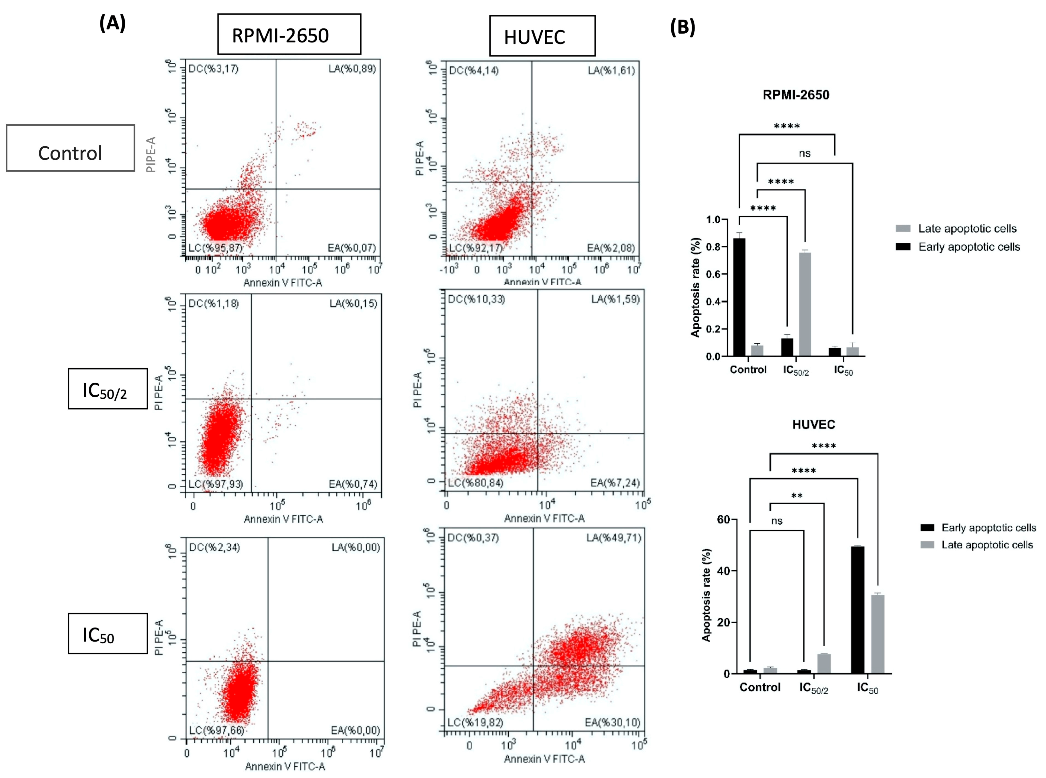 Biomedicines 13 02668 g004
