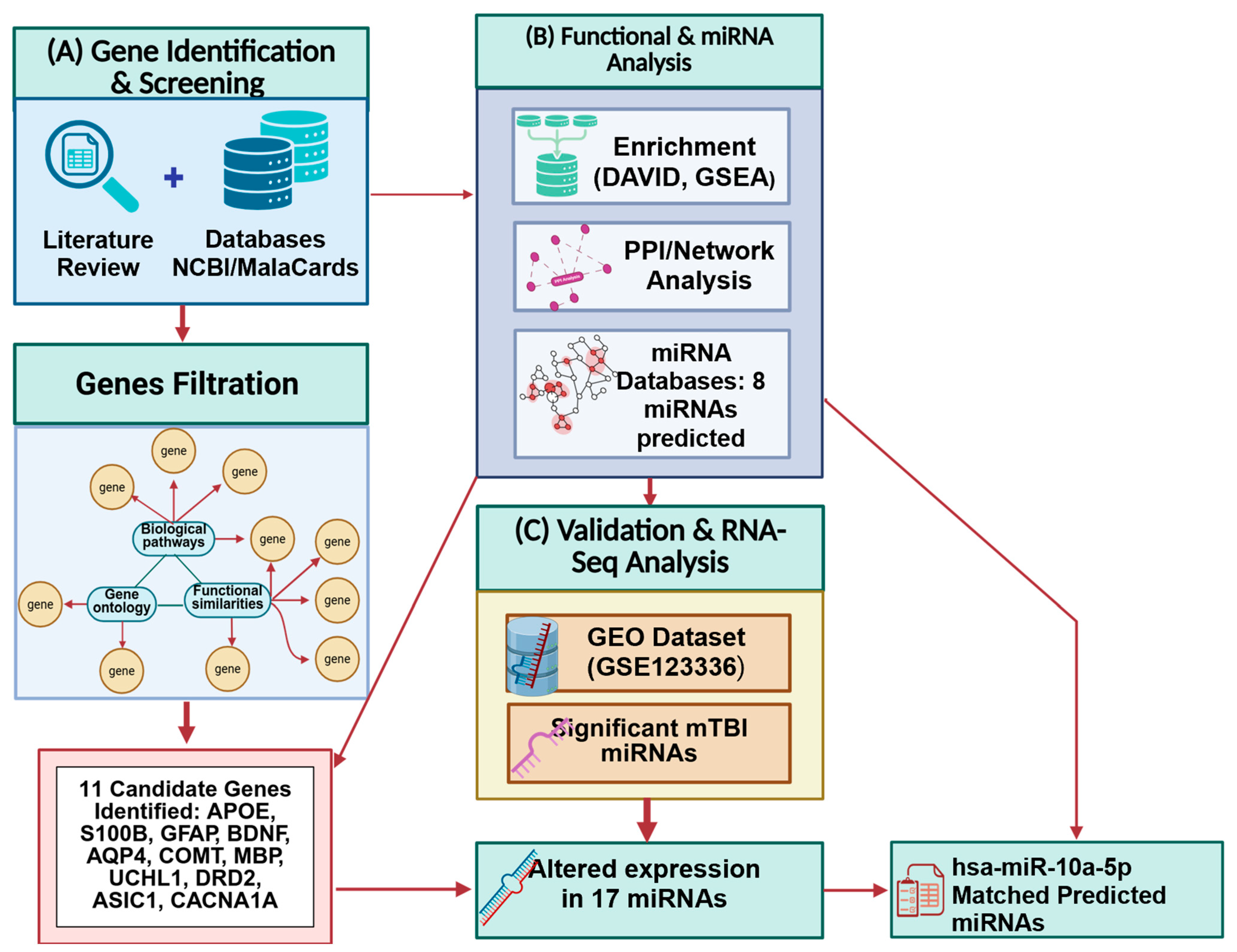 Biomedicines 13 02669 g001 Biomedicines 13 02669 g001