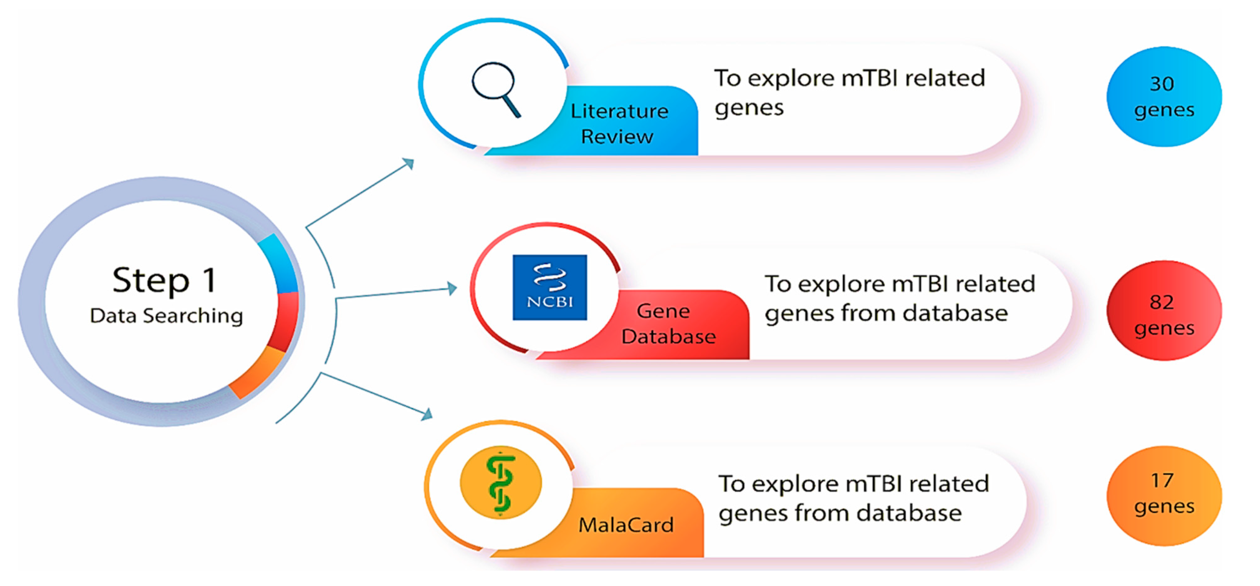 Biomedicines 13 02669 g002 Biomedicines 13 02669 g002