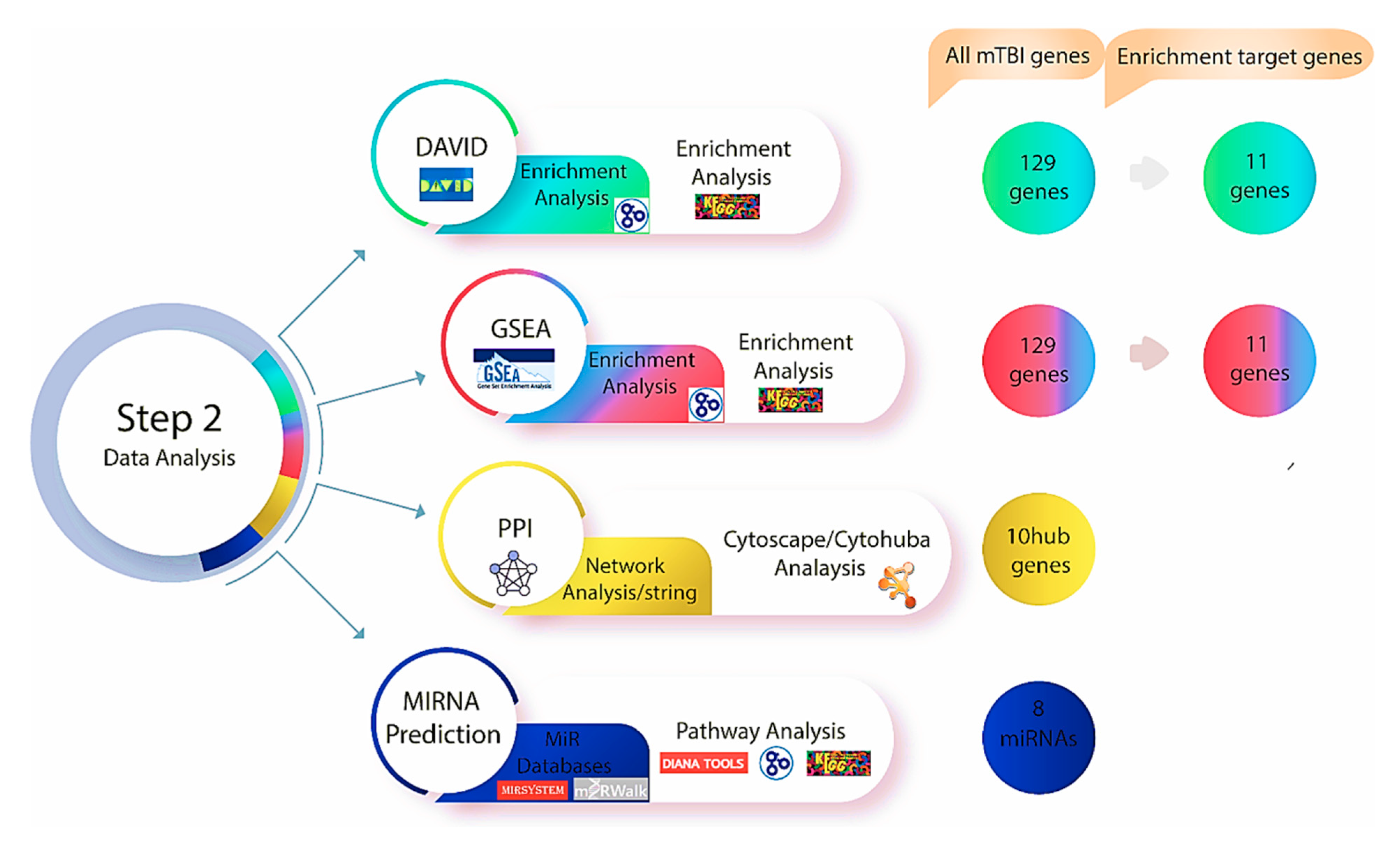 Biomedicines 13 02669 g003 Biomedicines 13 02669 g003
