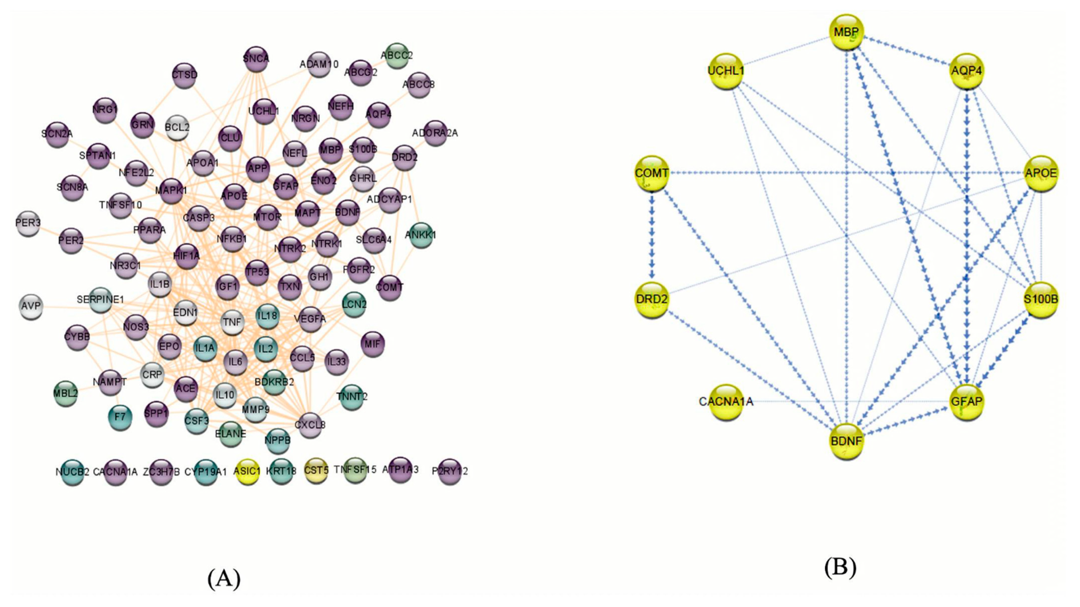 Biomedicines 13 02669 g005 Biomedicines 13 02669 g005