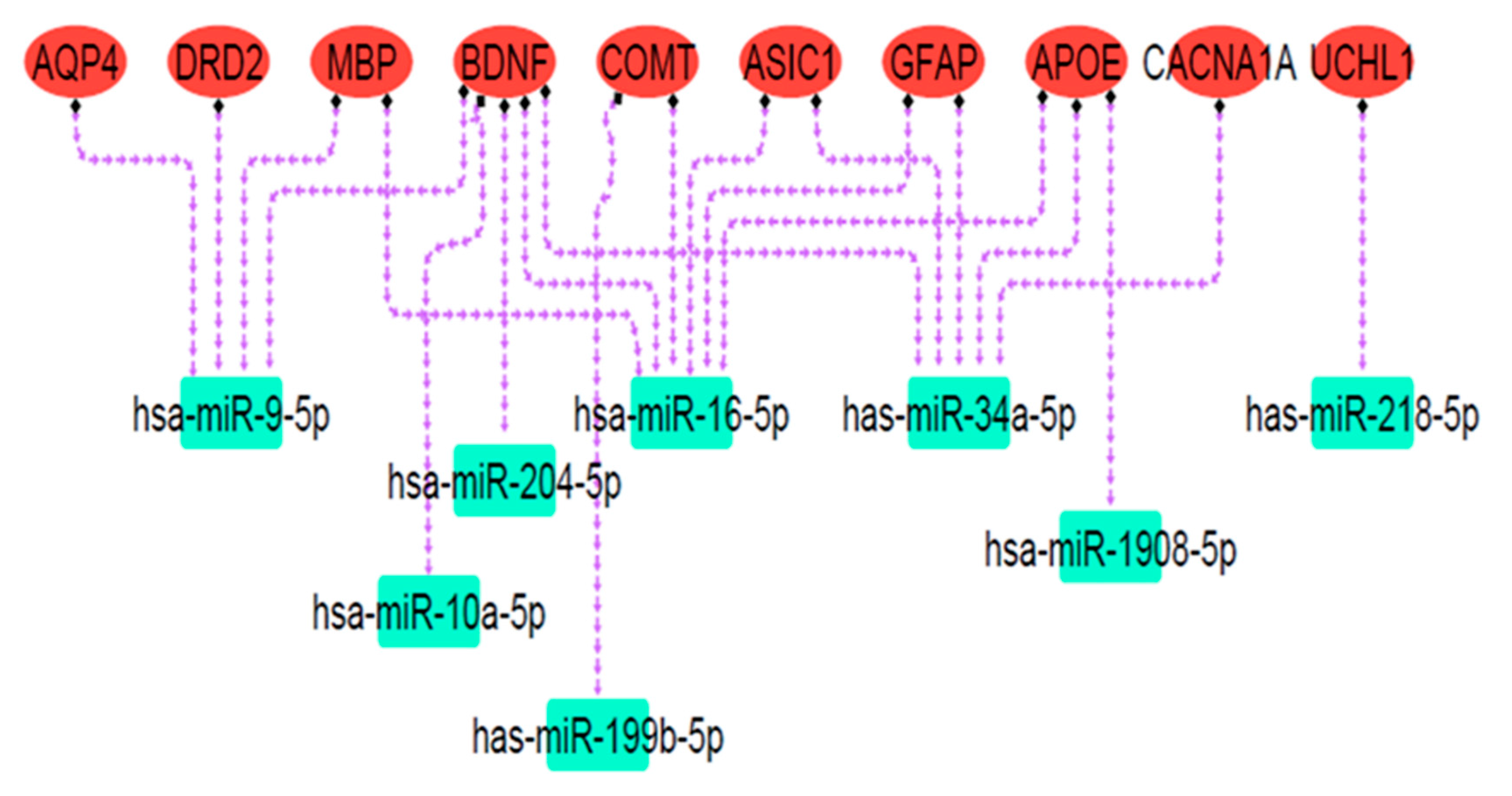 Biomedicines 13 02669 g007 Biomedicines 13 02669 g007