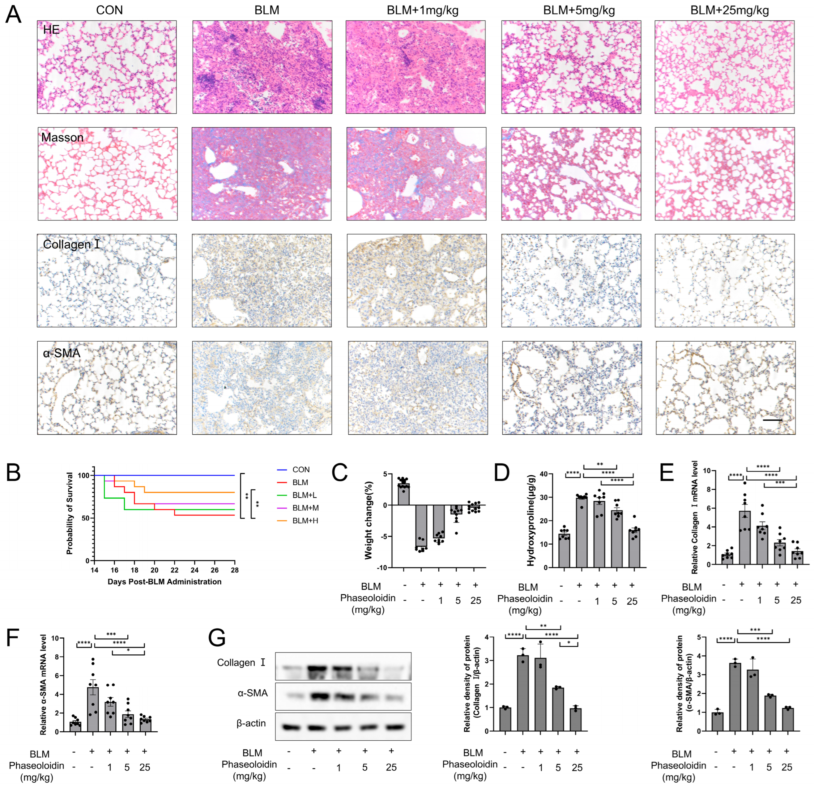 Biomedicines 13 02679 g001
