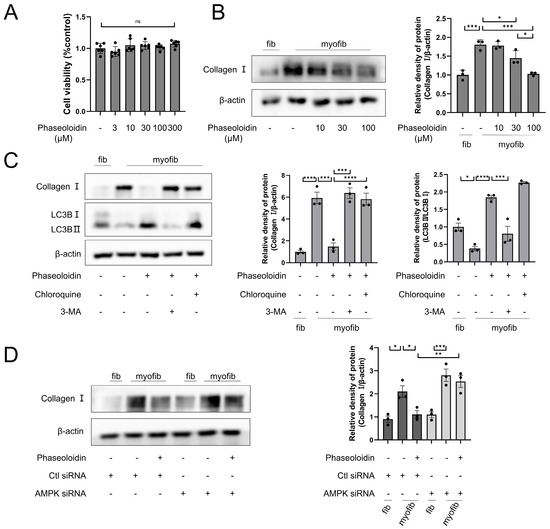 Biomedicines 13 02679 g003
