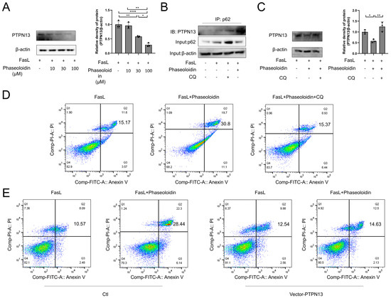 Biomedicines 13 02679 g005