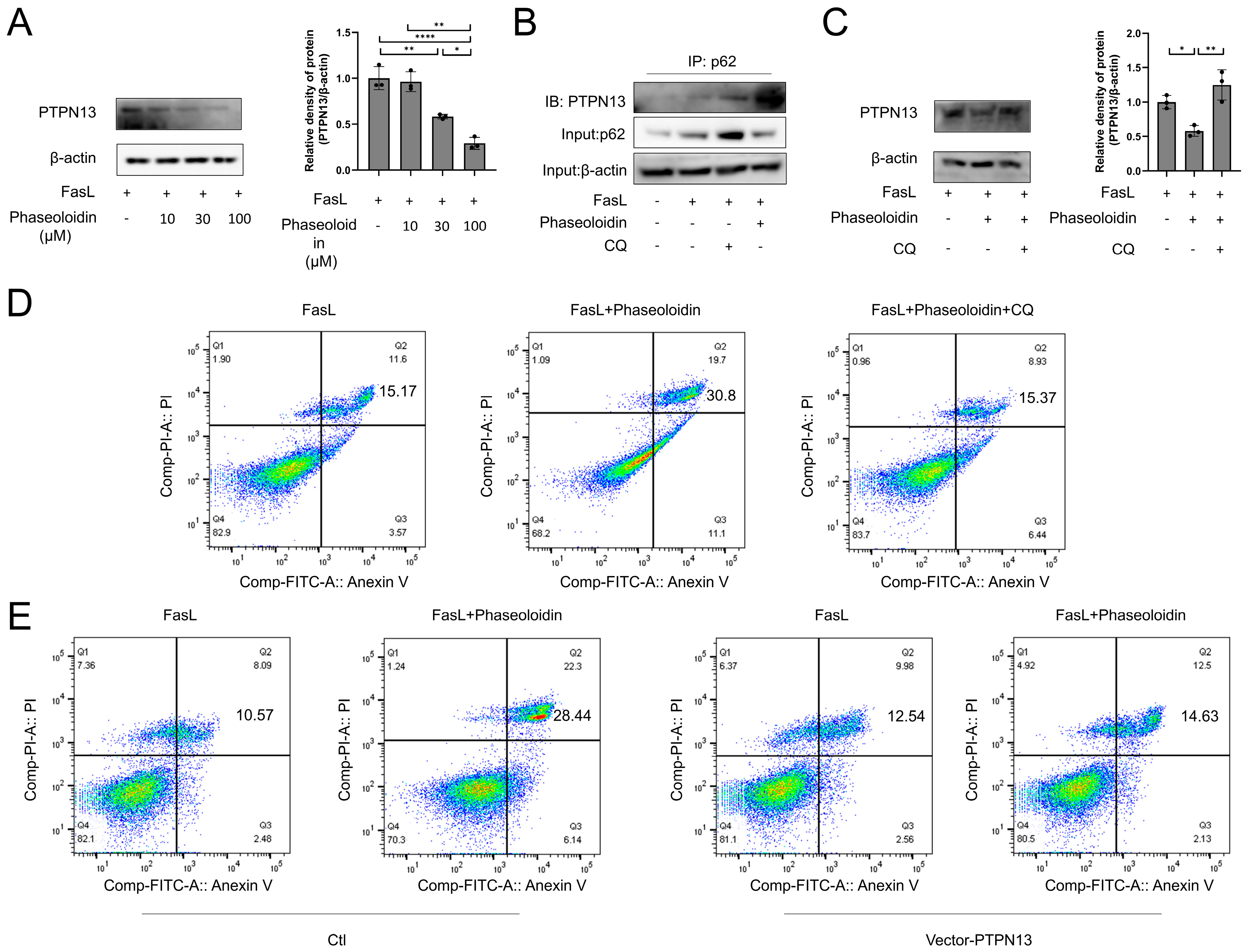 Biomedicines 13 02679 g005