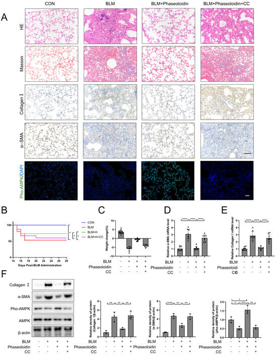 Biomedicines 13 02679 g006