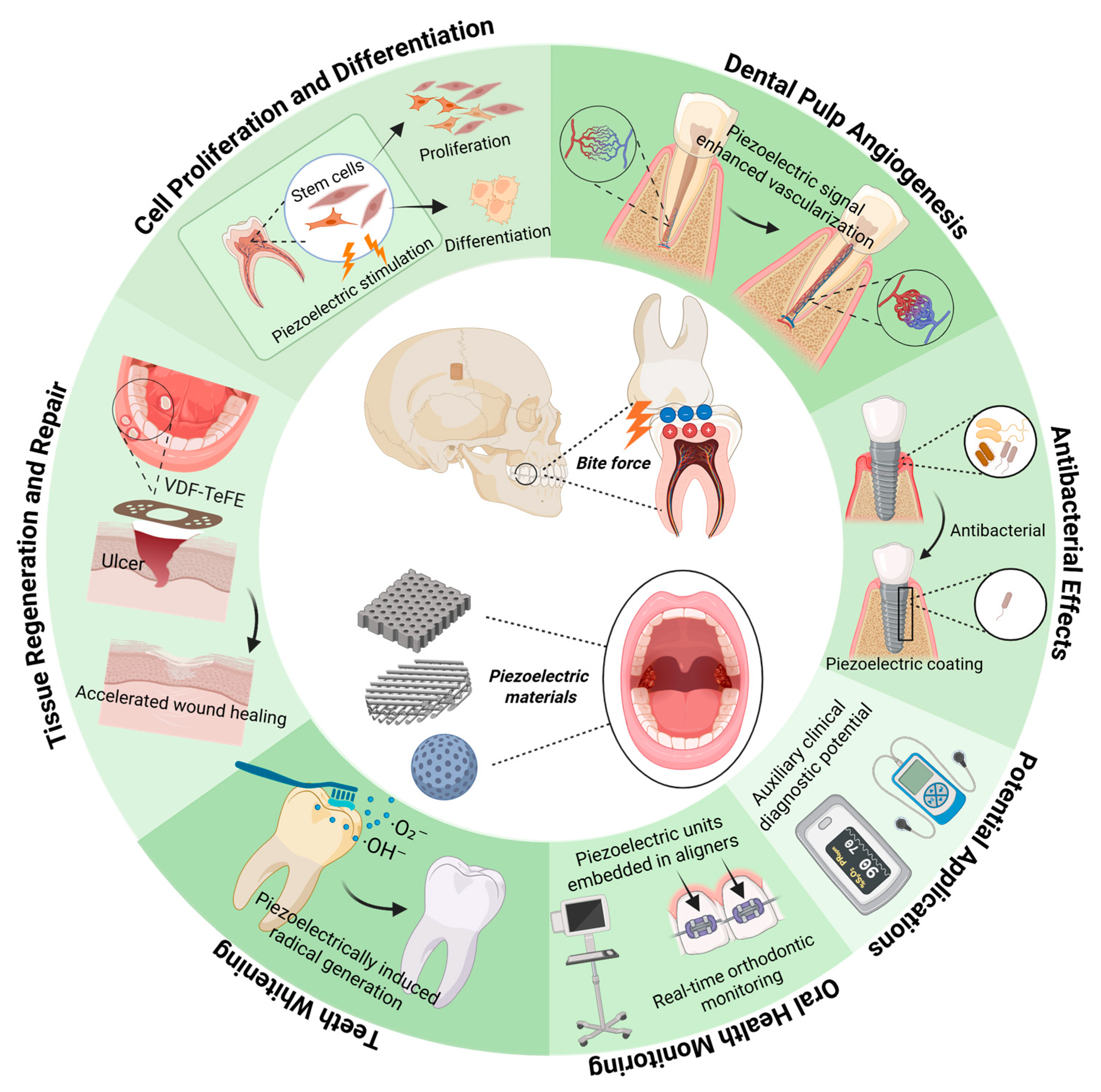 Biomedicines 13 02683 g001
