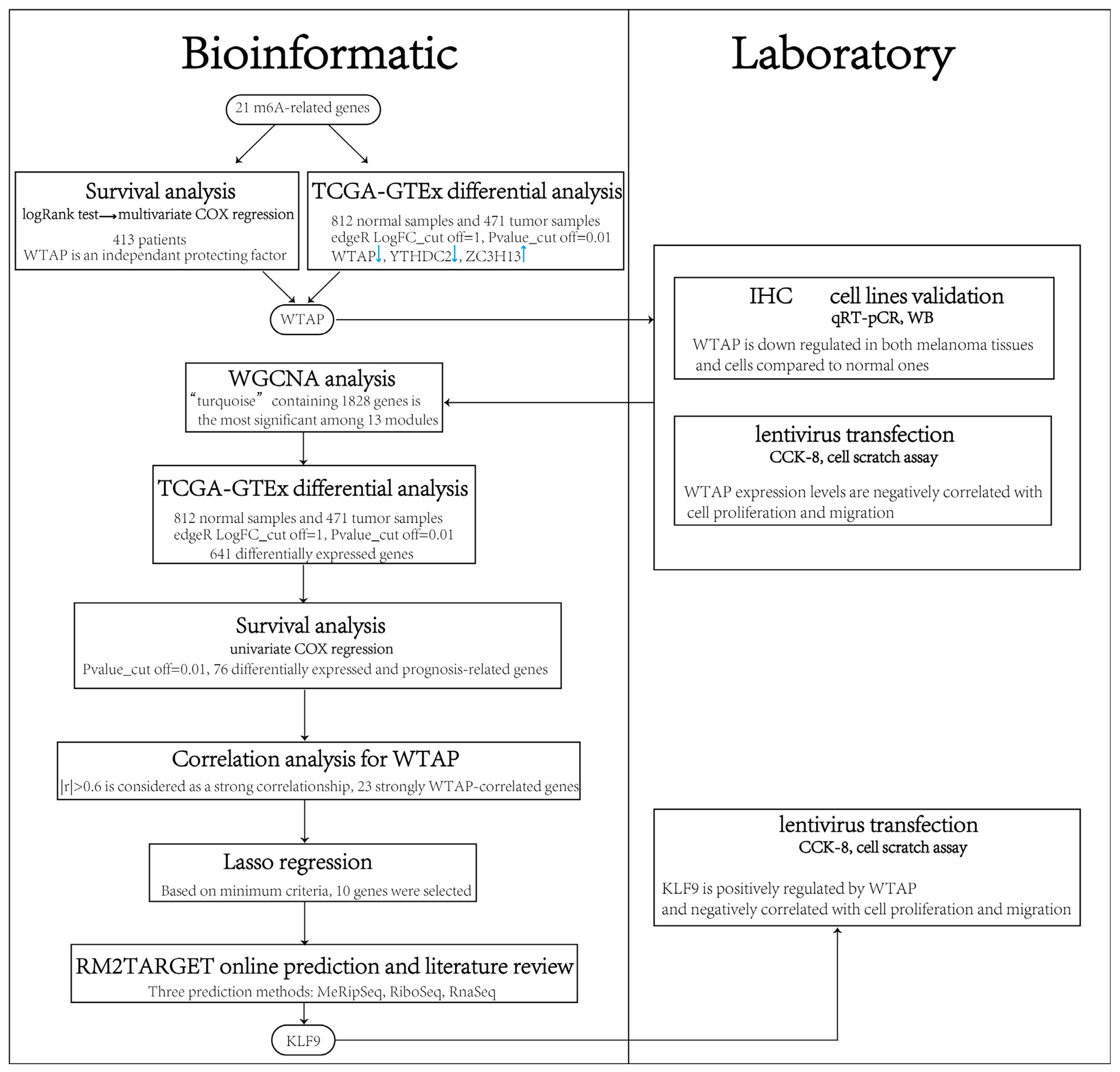 Biomedicines 13 02685 g001 Biomedicines 13 02685 g001