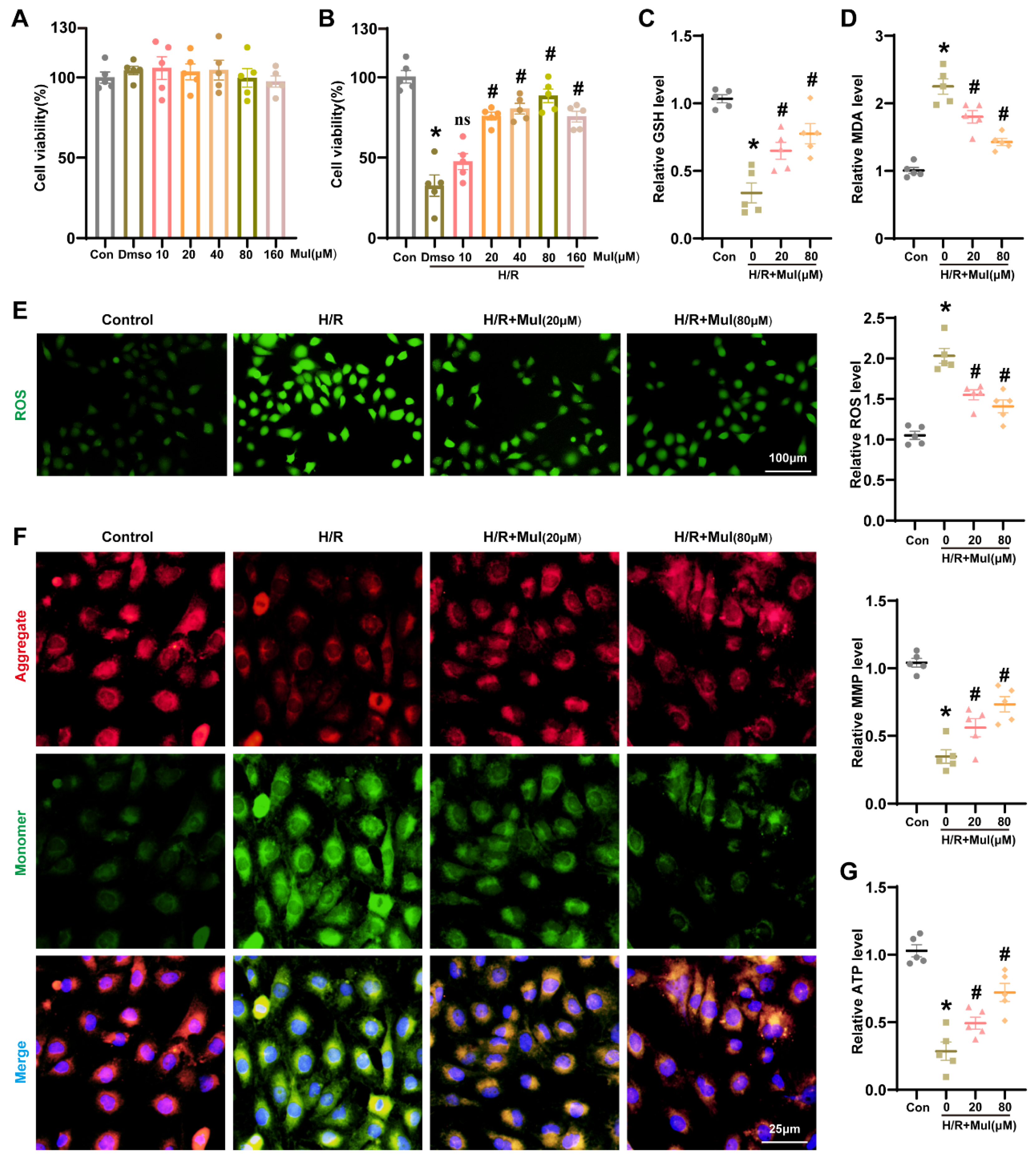 Biomedicines 13 02687 g003