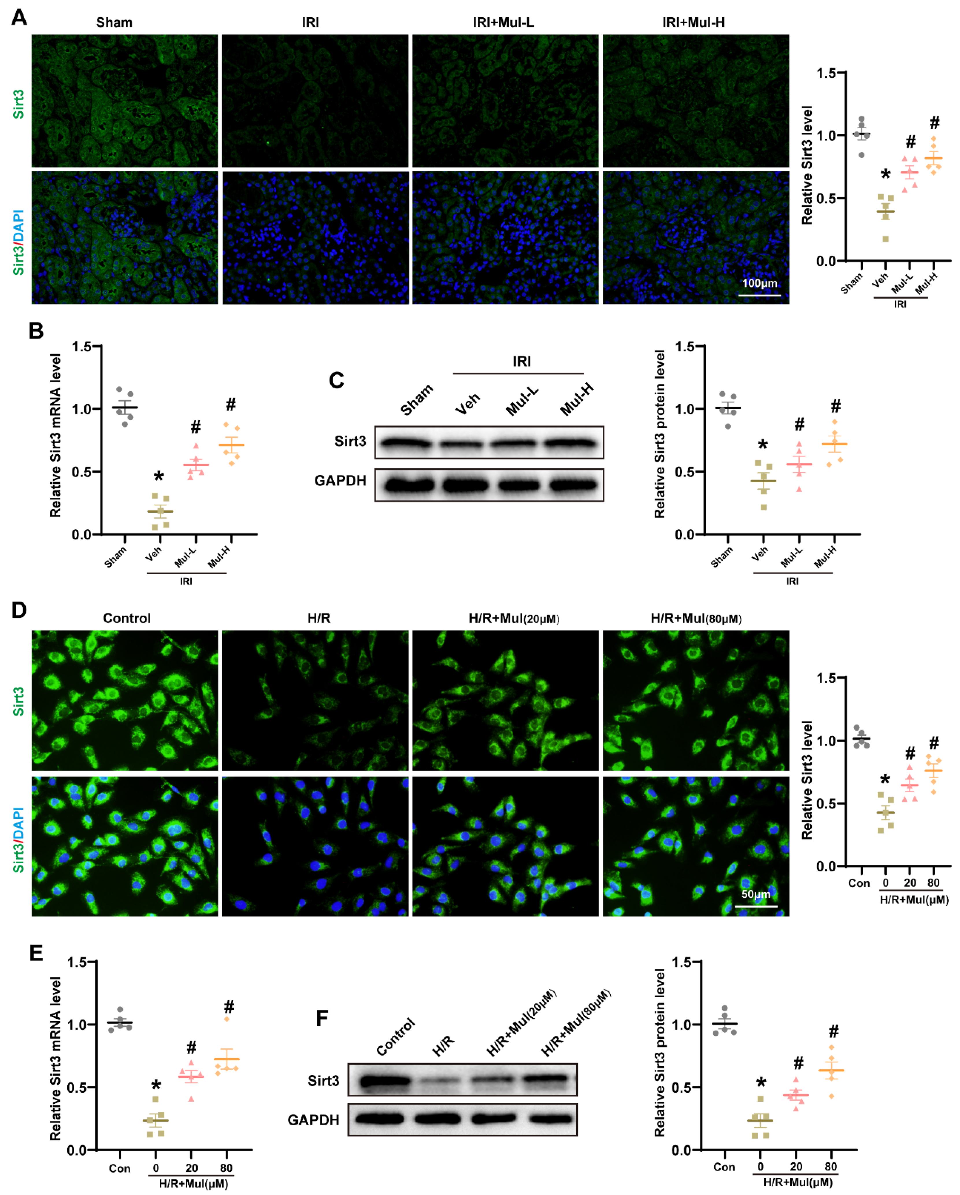 Biomedicines 13 02687 g005