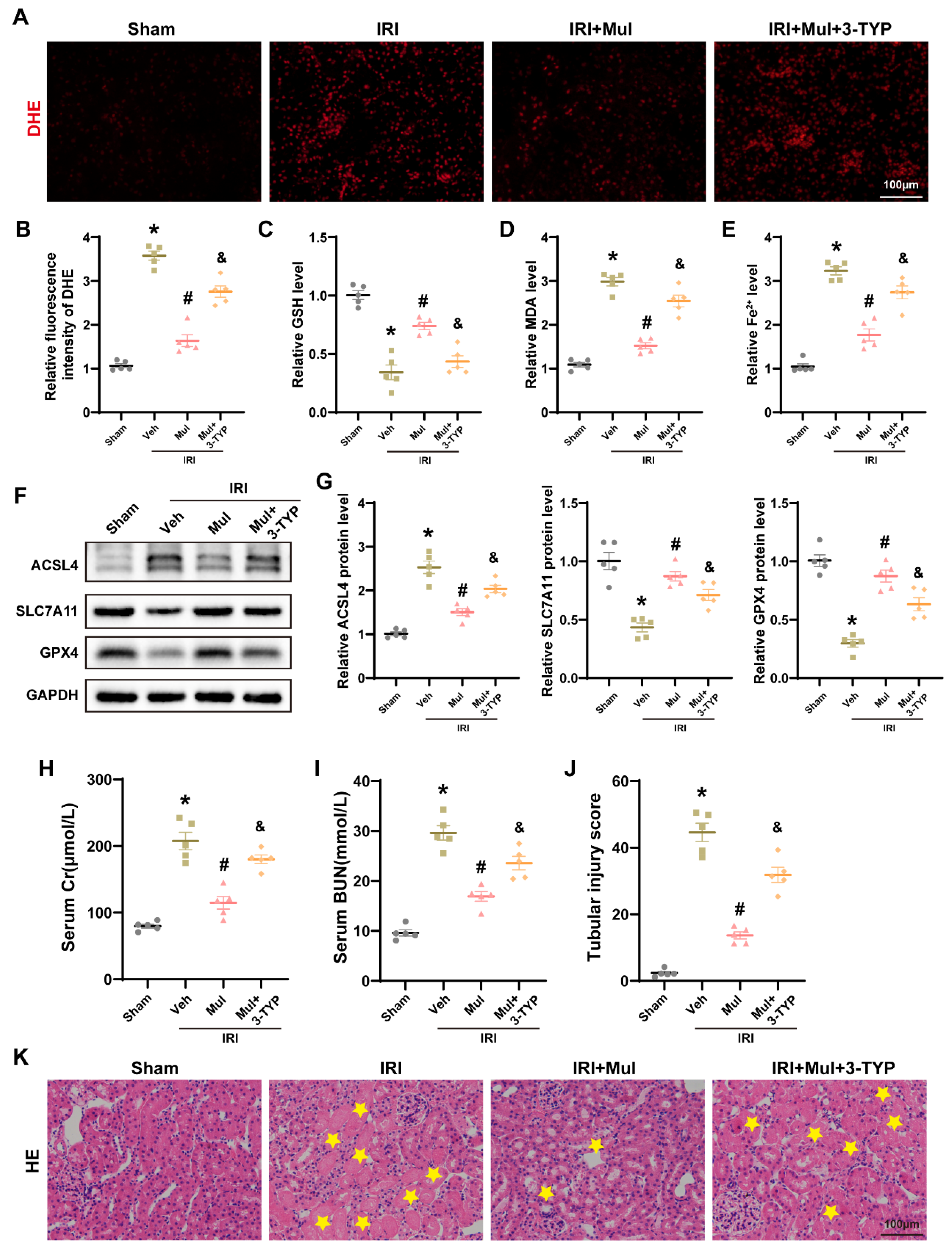 Biomedicines 13 02687 g008