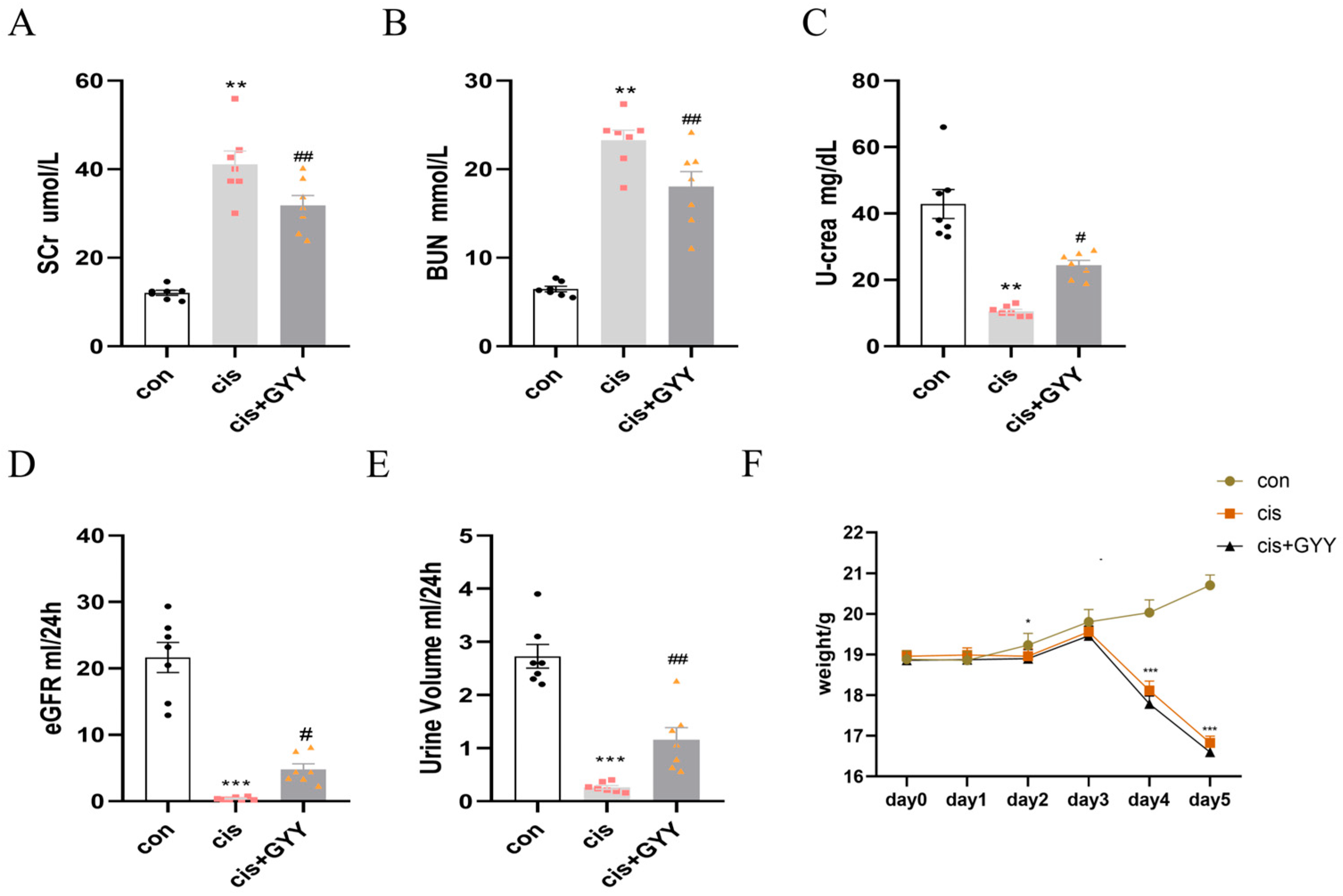 Biomedicines 13 02696 g001 Biomedicines 13 02696 g001