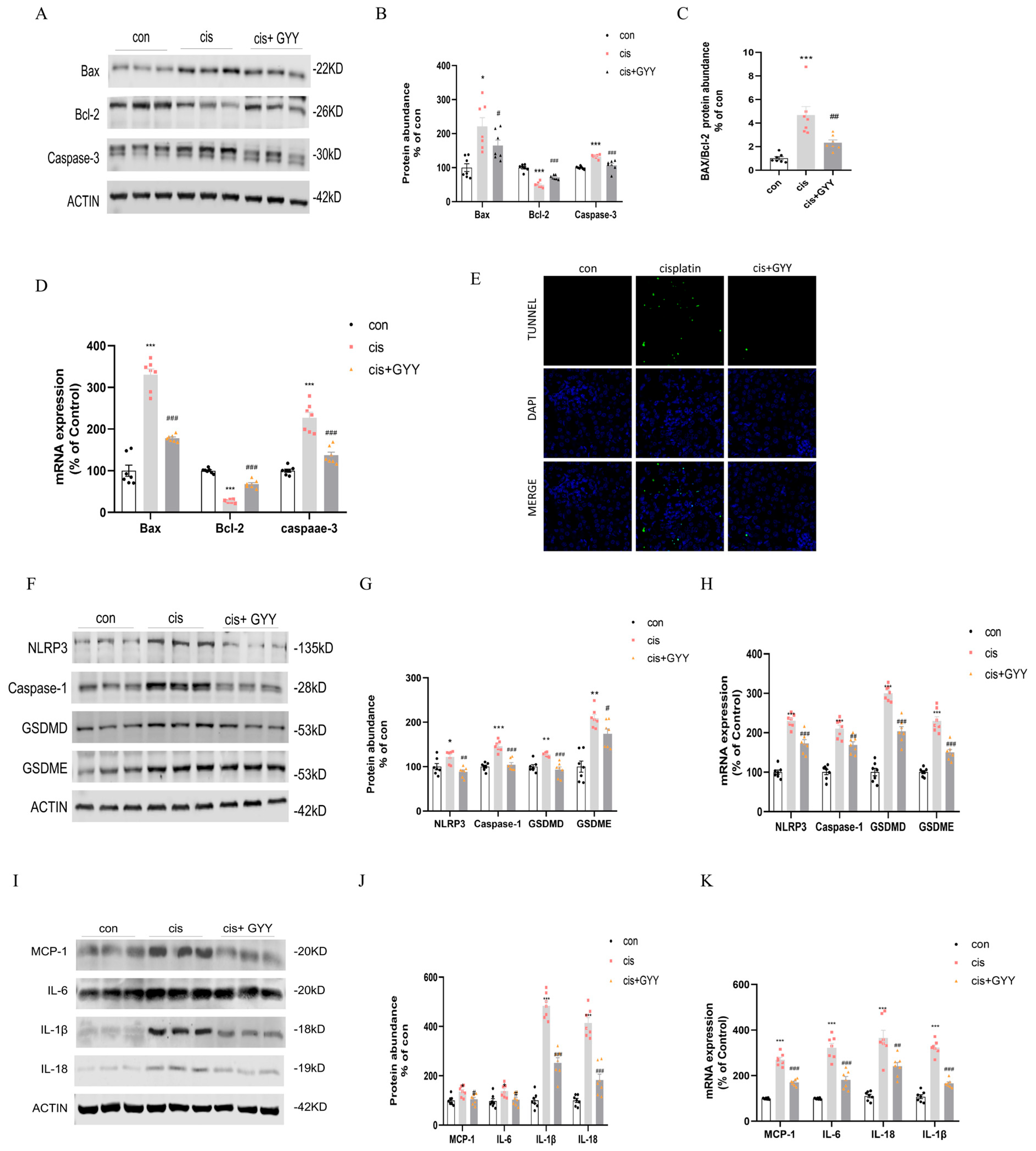 Biomedicines 13 02696 g003 Biomedicines 13 02696 g003