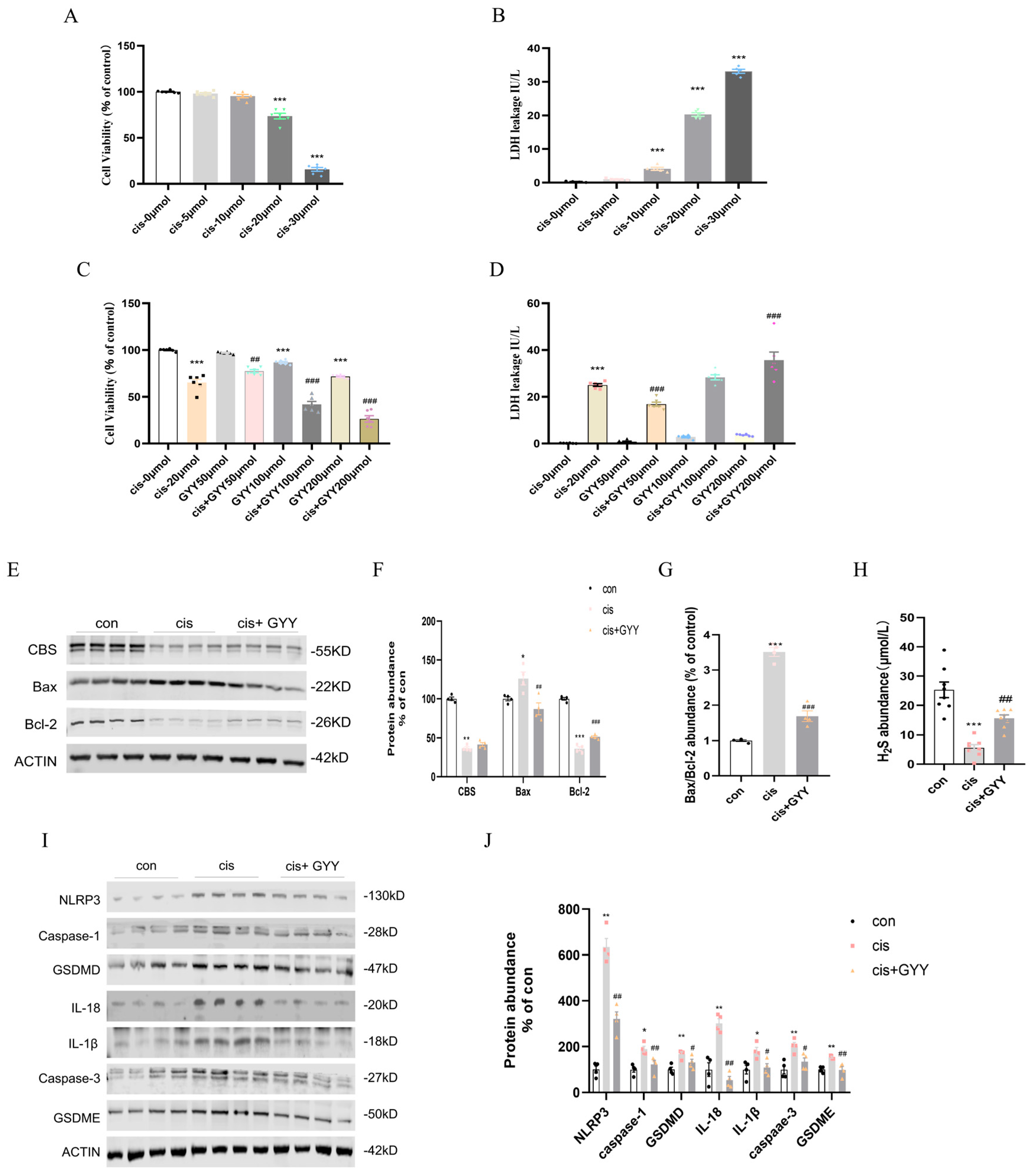 Biomedicines 13 02696 g005 Biomedicines 13 02696 g005