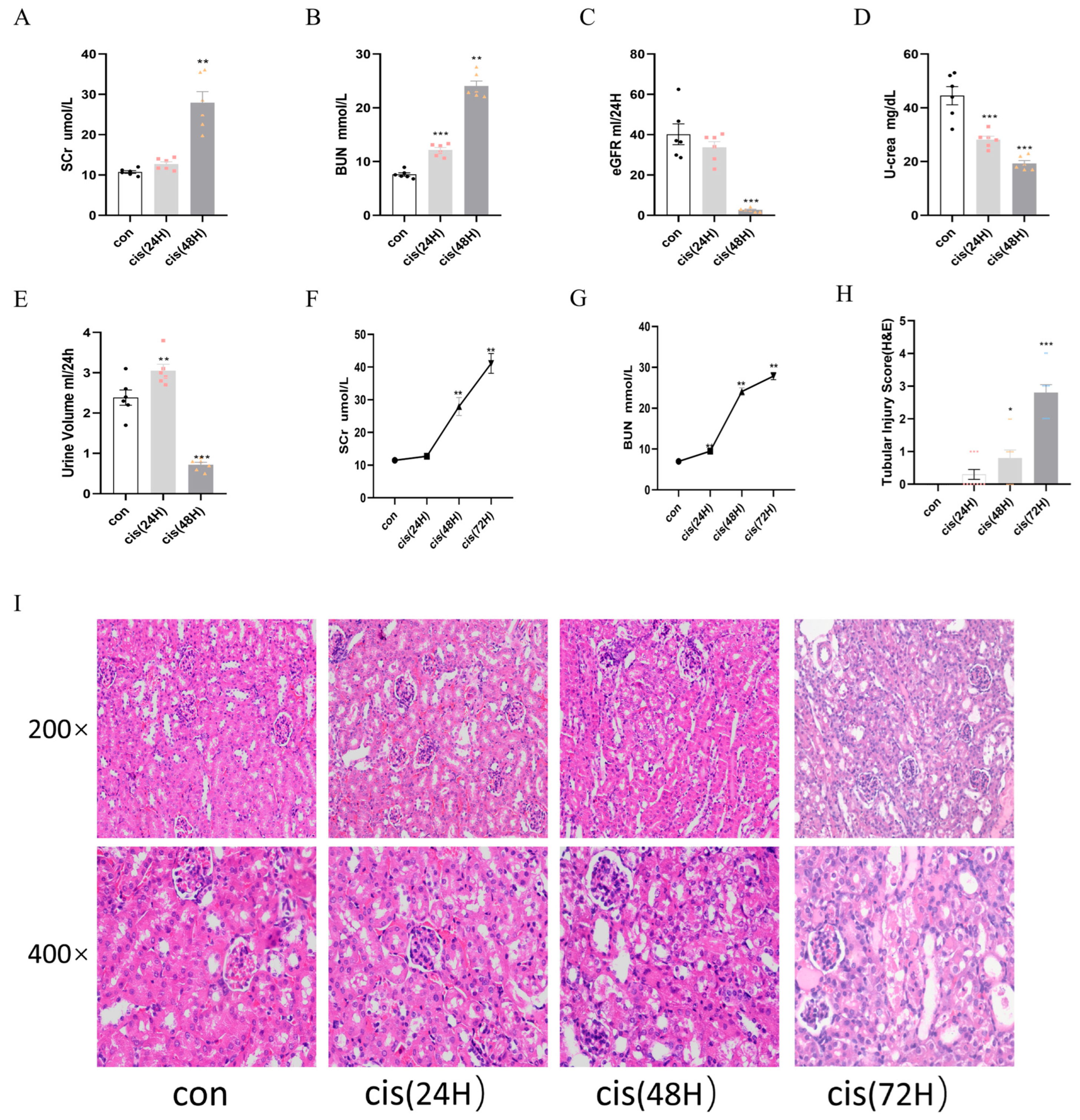 Biomedicines 13 02696 g006 Biomedicines 13 02696 g006