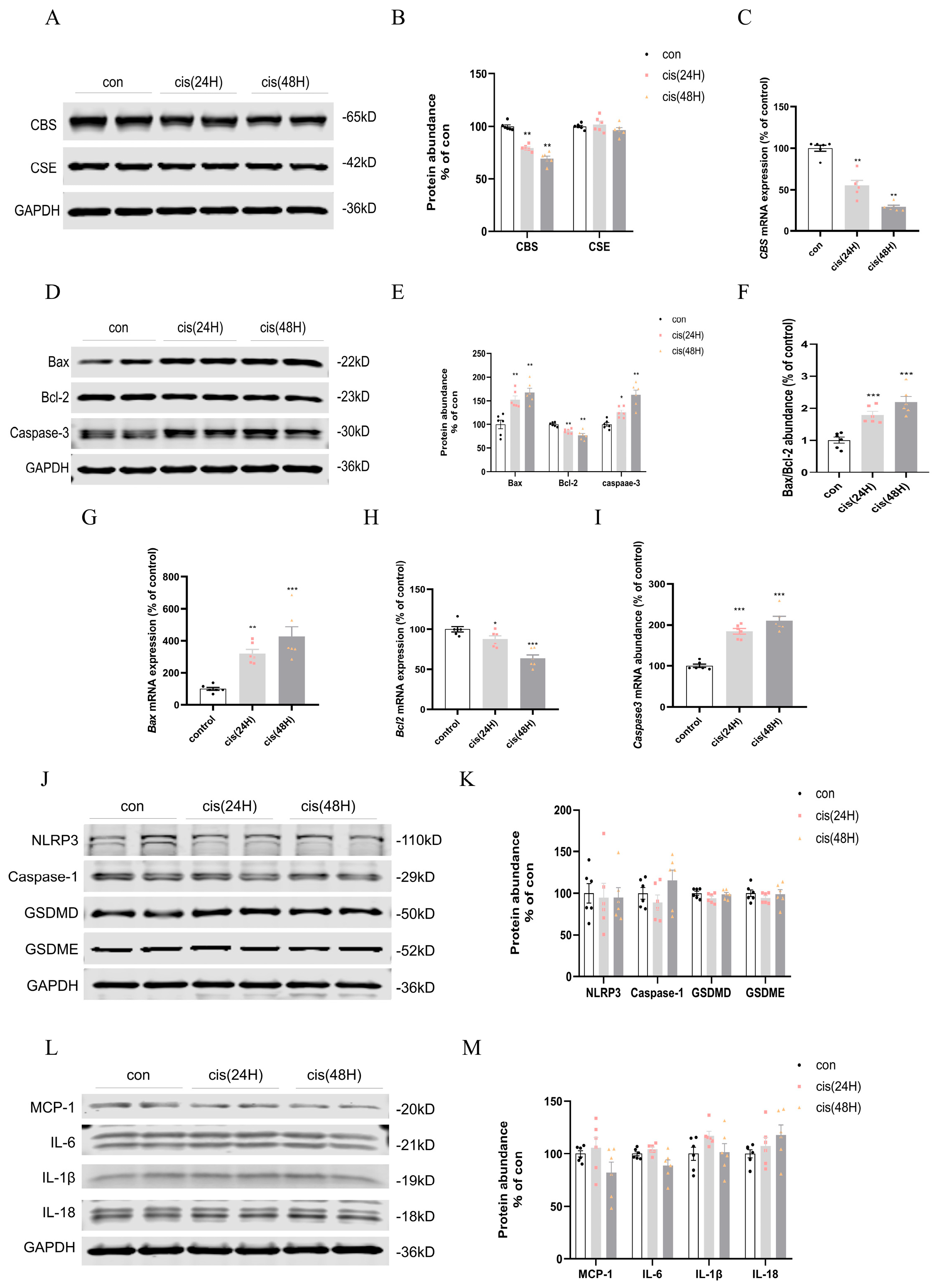 Biomedicines 13 02696 g007 Biomedicines 13 02696 g007