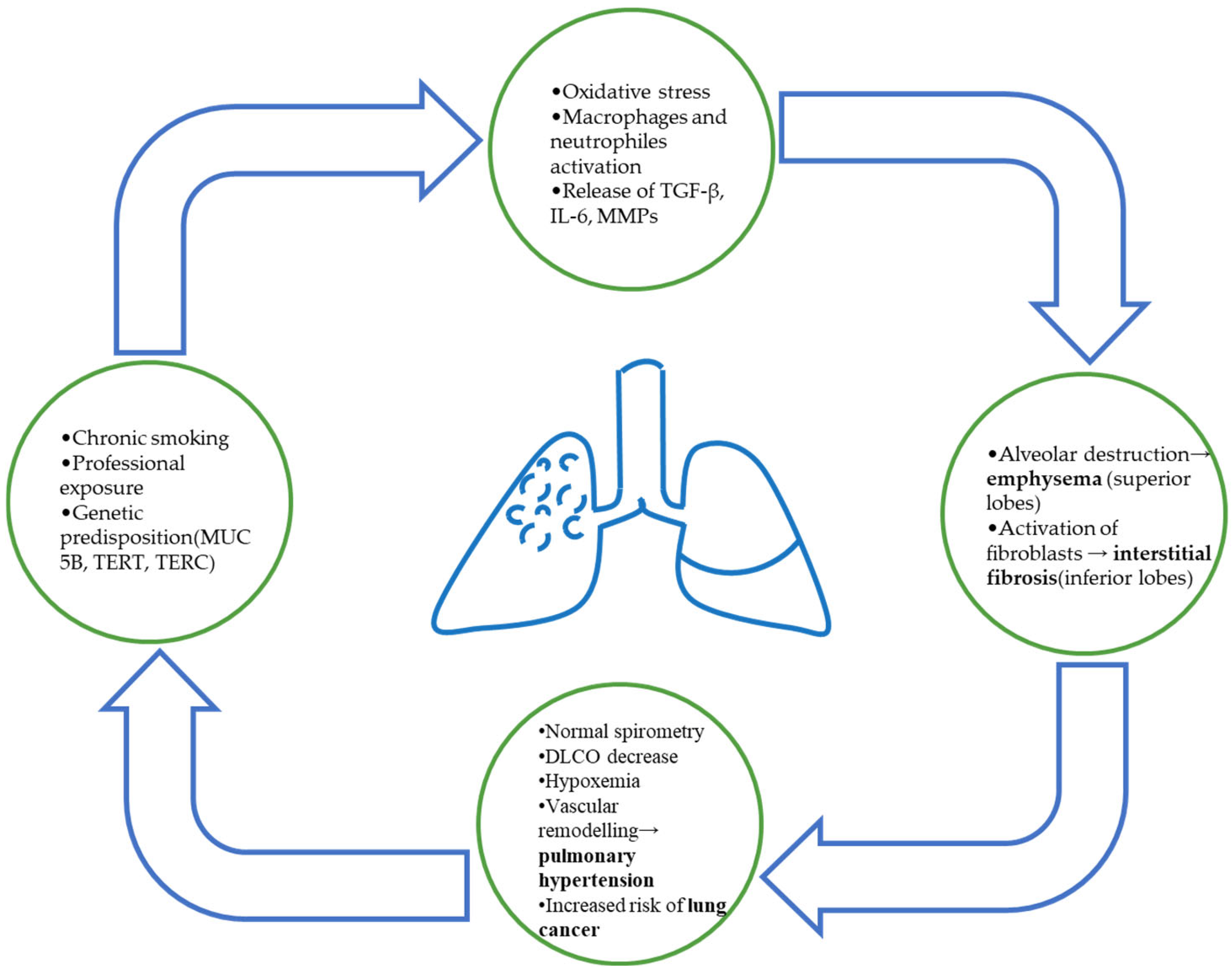 Biomedicines 13 02703 g001 Biomedicines 13 02703 g001