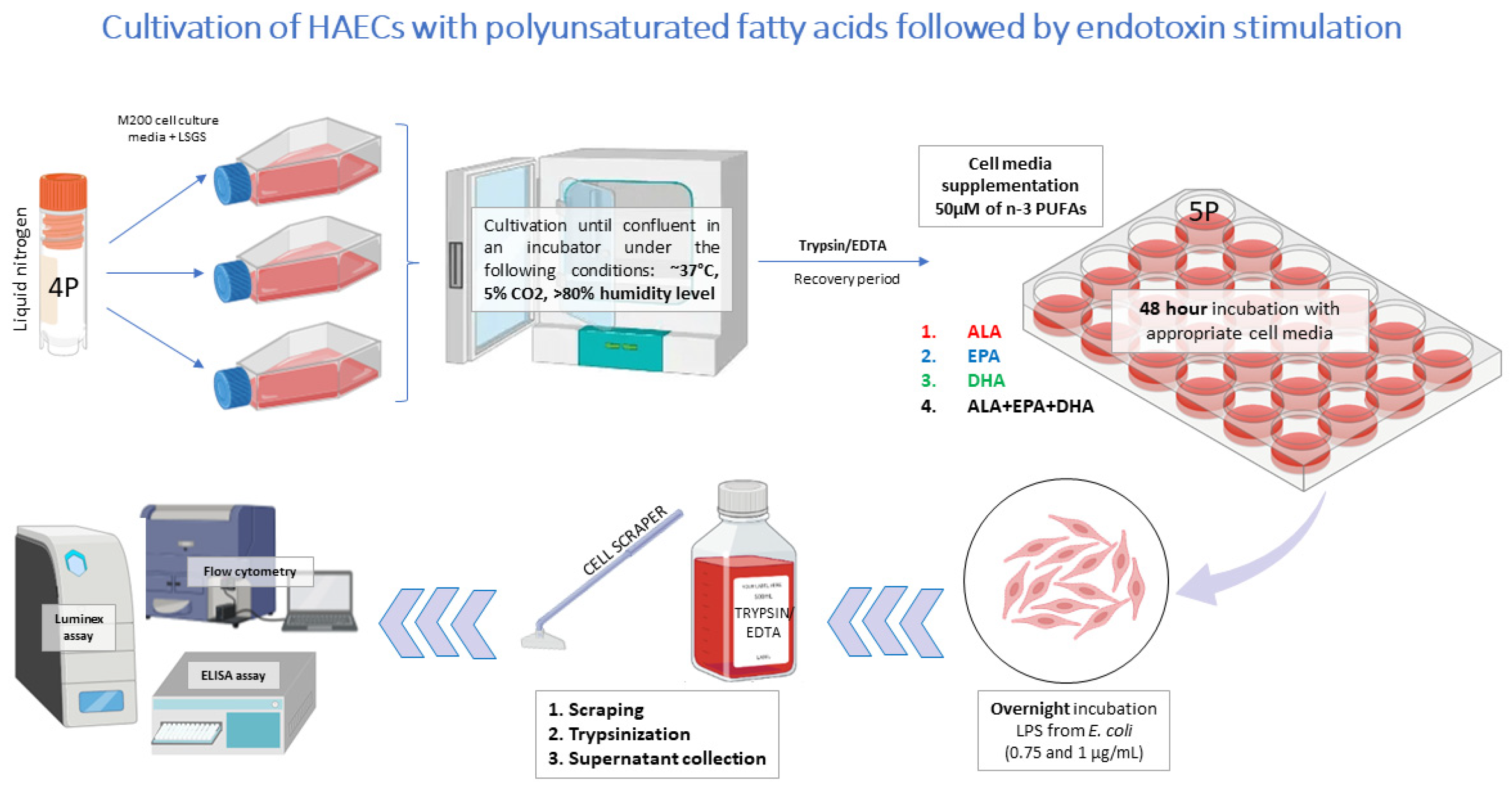 Biomedicines 13 02706 g001